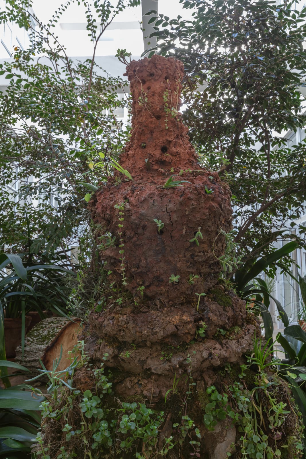 Belinda Blignaut, The call from things, 2021