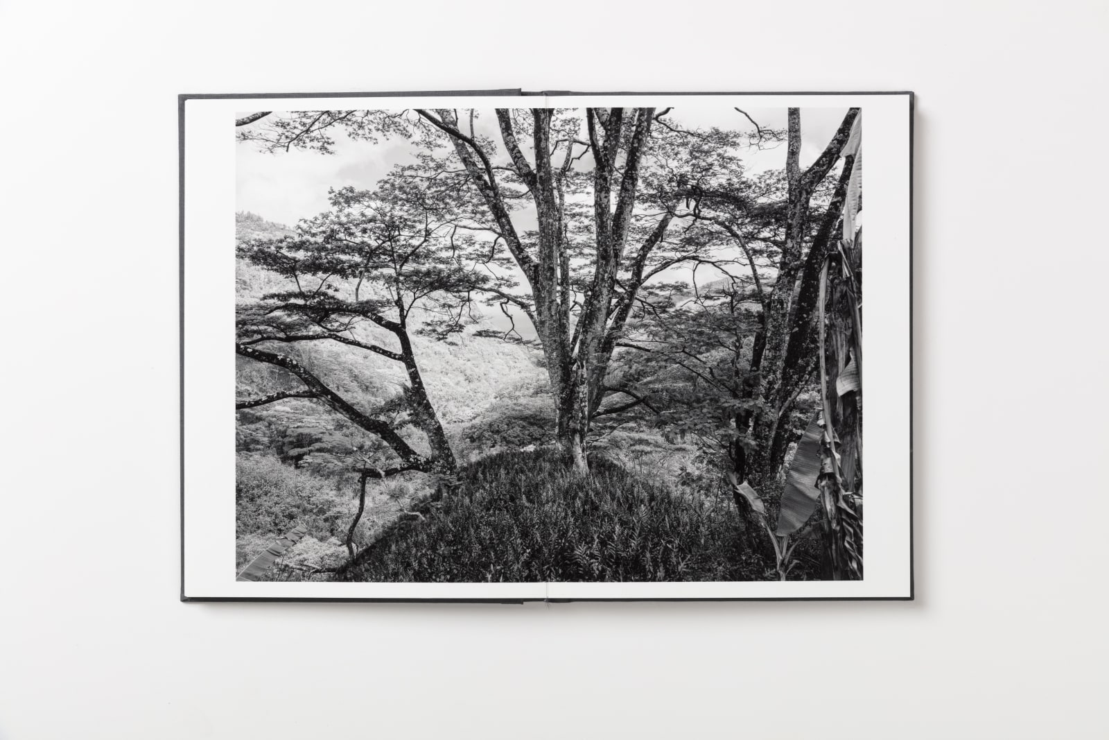 Guy Tillim, Hiva Oa, French Polynesia, 2010