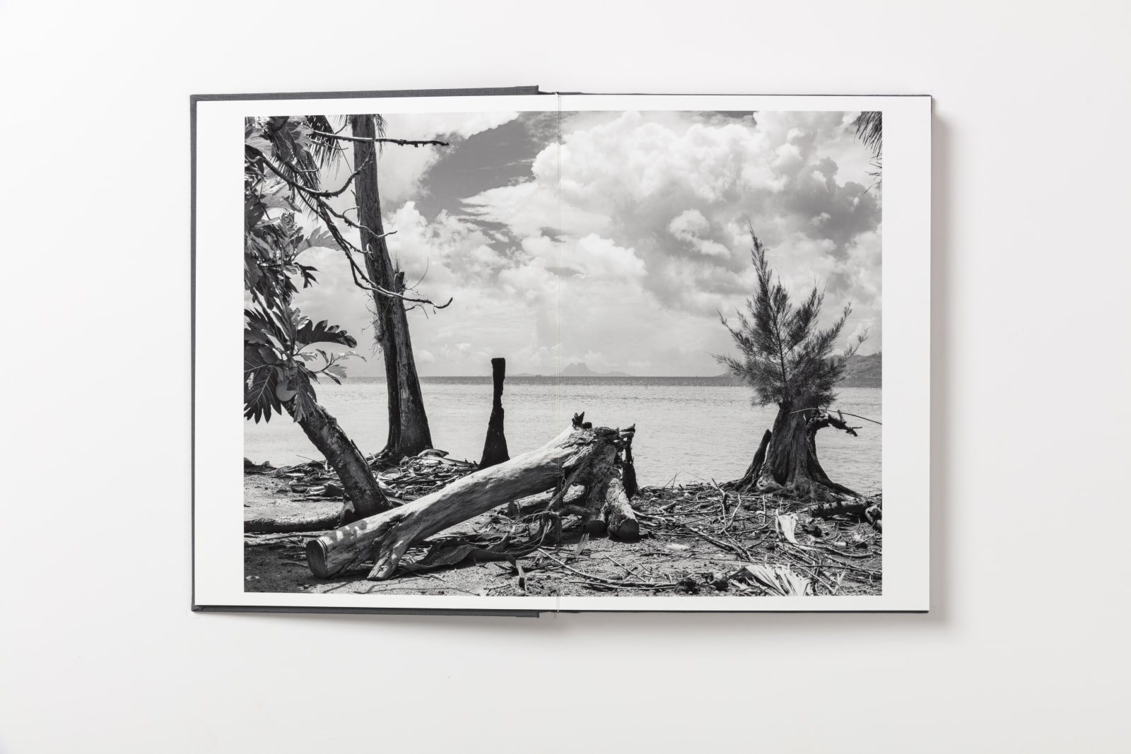 Guy Tillim, Raiatea, French Polynesia, 2010