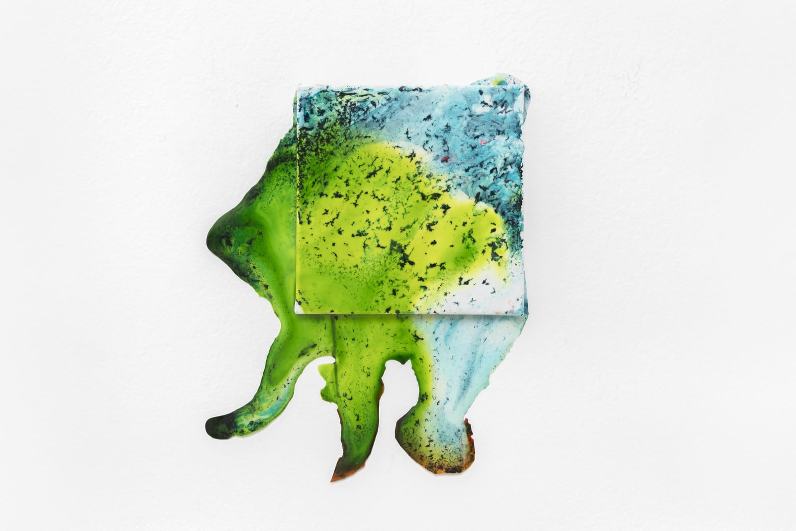 Overflow: Amphibious, 2019