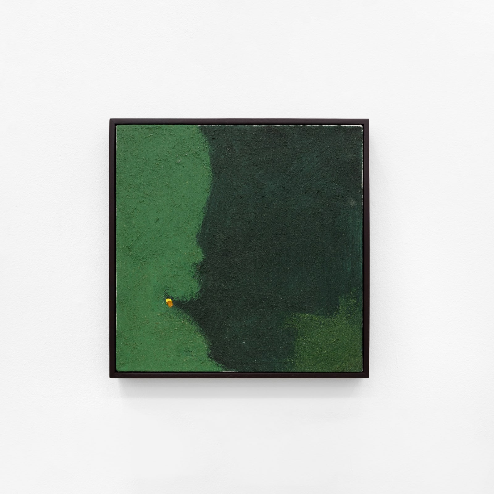 Mawande Ka Zenzile, Inzonobila, 2023