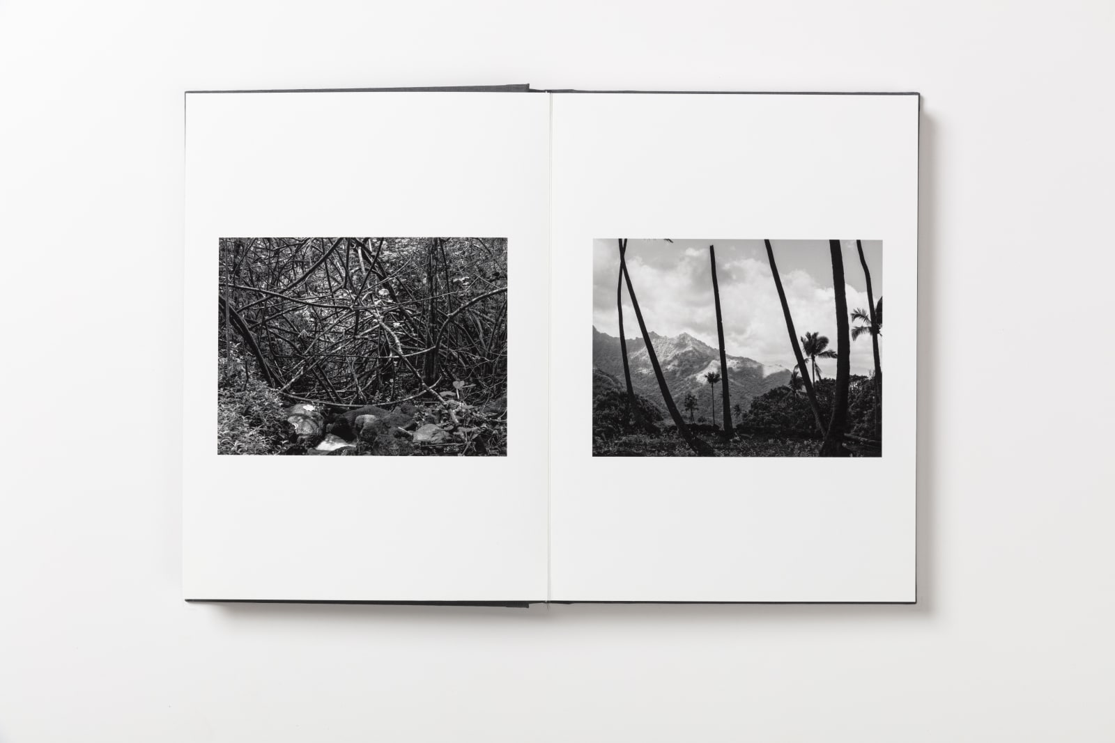 Guy Tillim, Tahiti, French Polynesia, 2010  Hiva Oa, French Polynesia, 2010