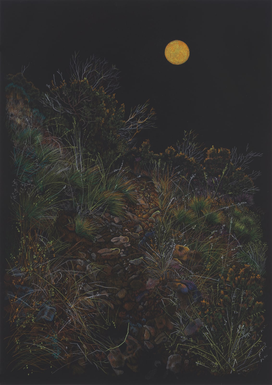 Drawing On Black Paper 5, 2021