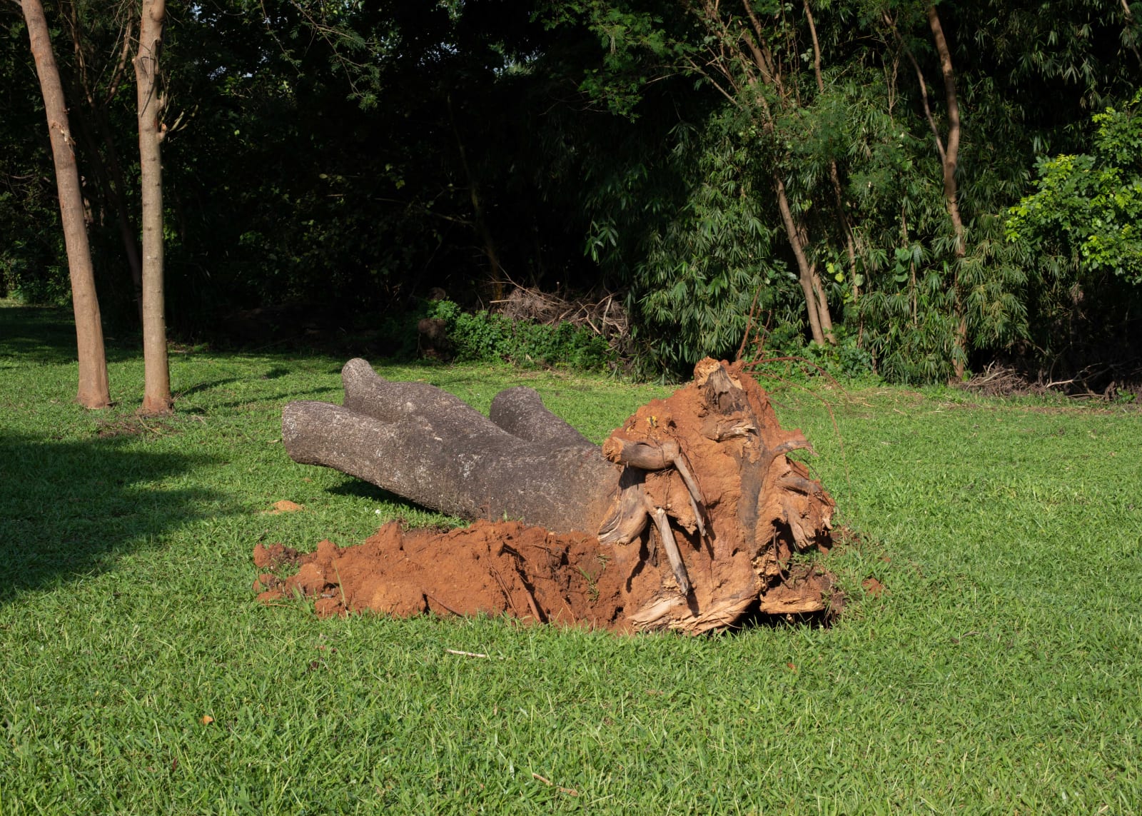 Rahima Gambo, A Walk landscape VI, Abuja, Nigeria , 2018