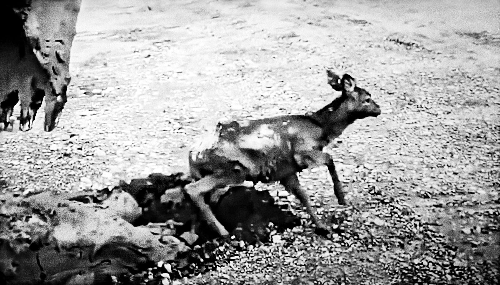 Jo Ractliffe, still #48