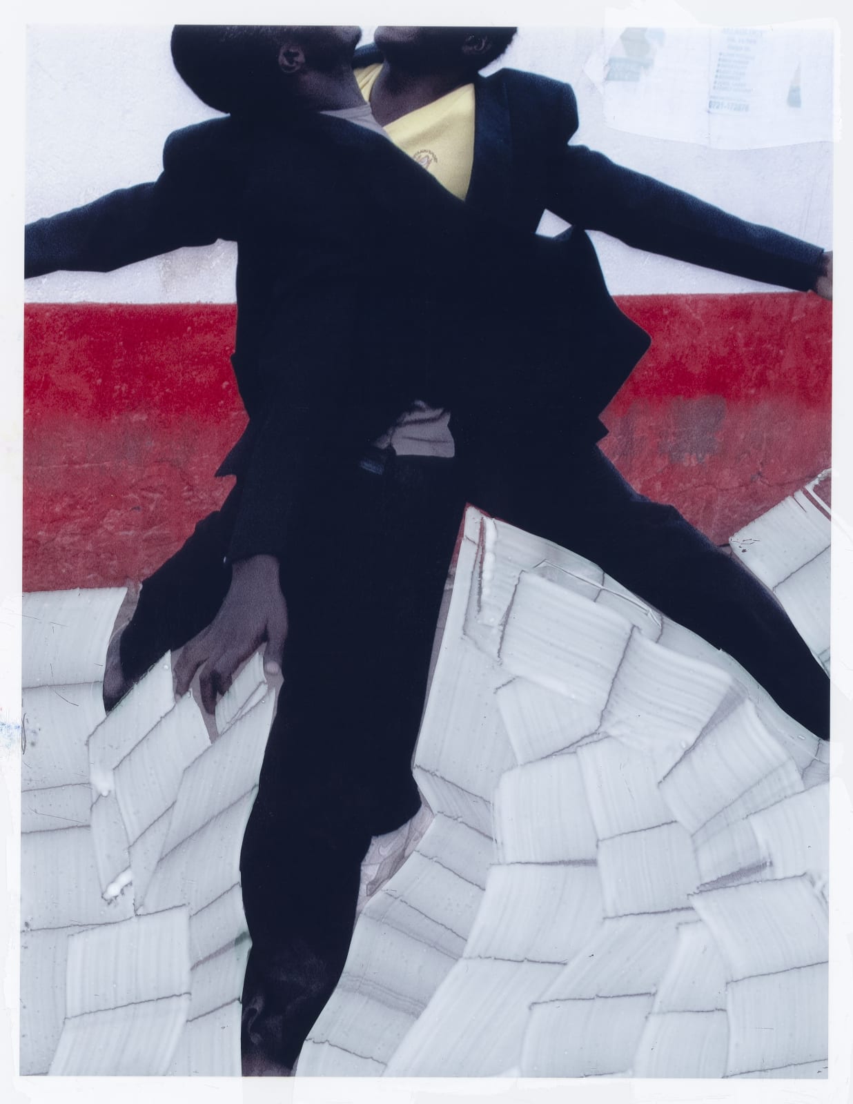 Viviane Sassen, Spider 2010 / paint study, 2021