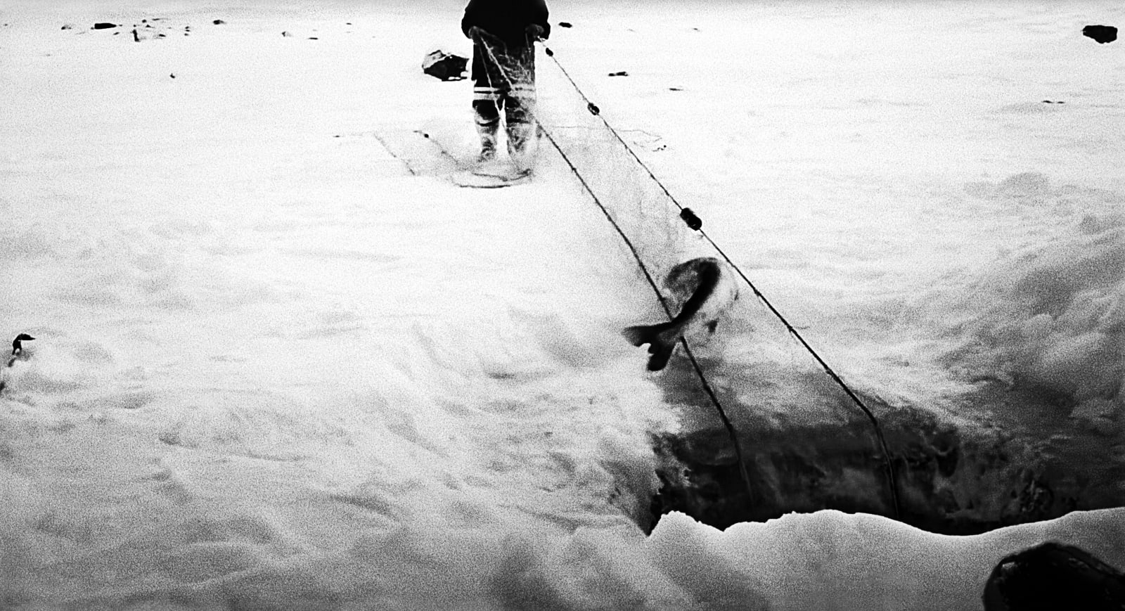 Jo Ractliffe, still #28