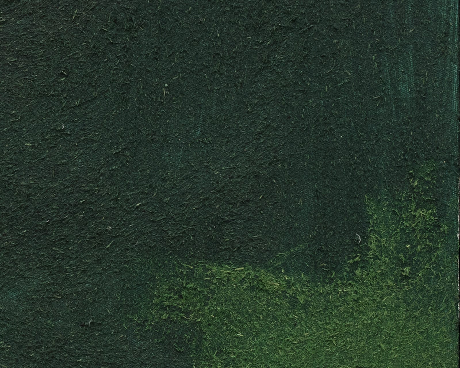 Mawande Ka Zenzile, Inzonobila, 2023