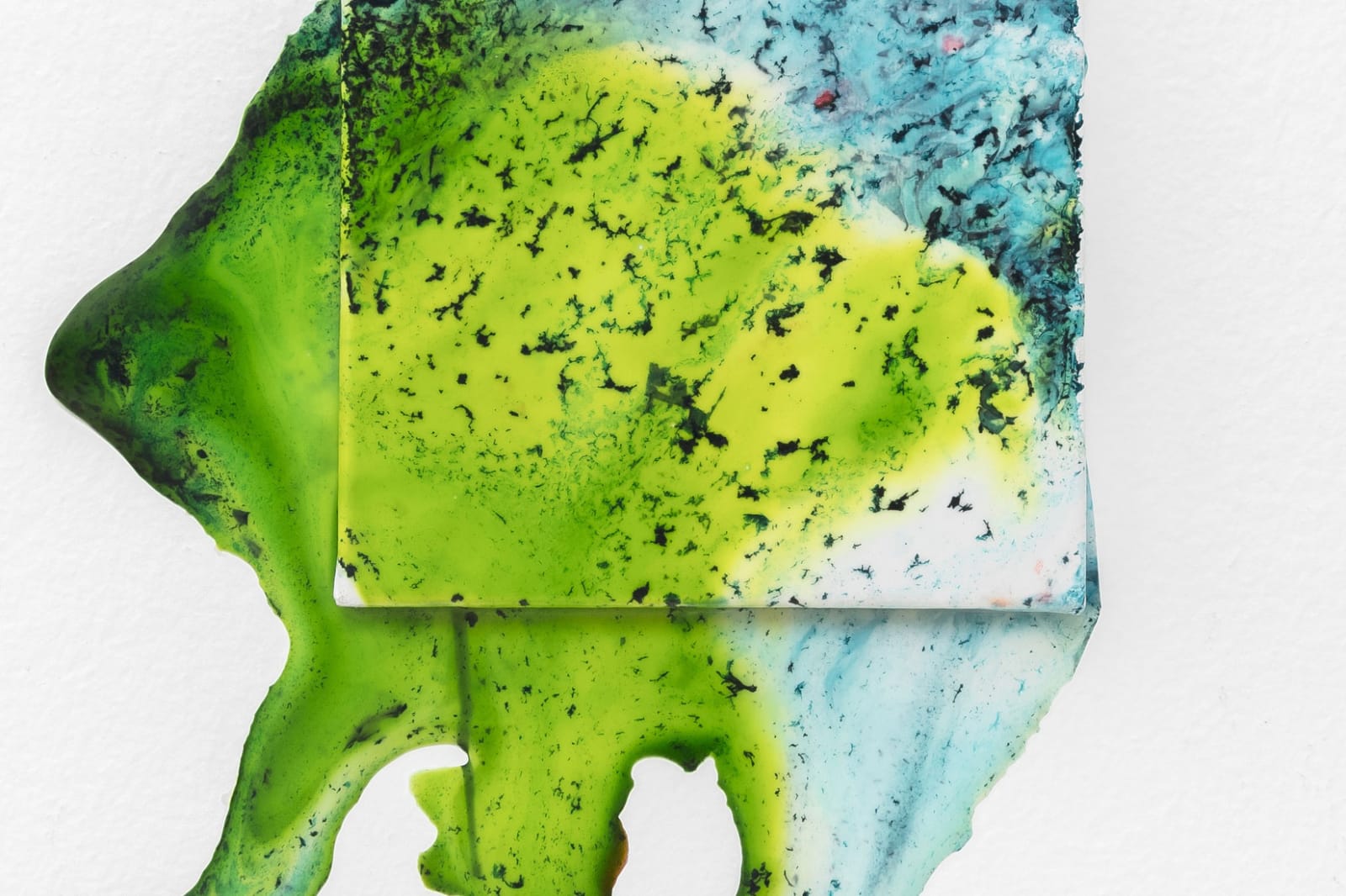 Overflow: Amphibious, 2019