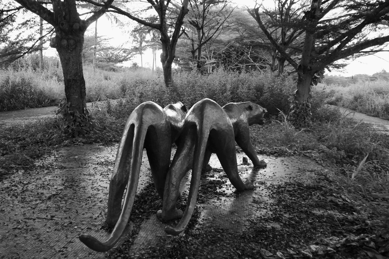 Guy Tillim, Mobutu Sese Seko’s palace at Gbadolite, Democratic Republic of Congo, 2003