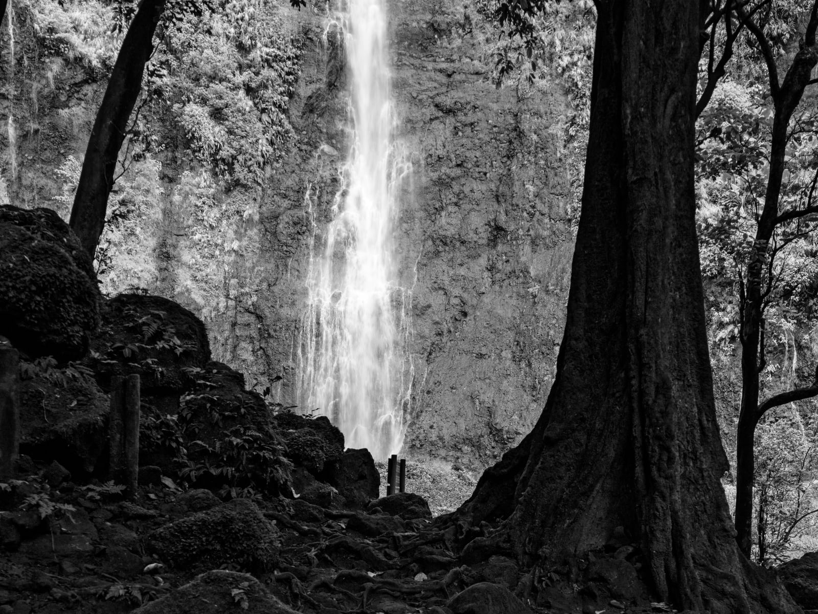 Guy Tillim, Mo'orea, French Polynesia, 2010