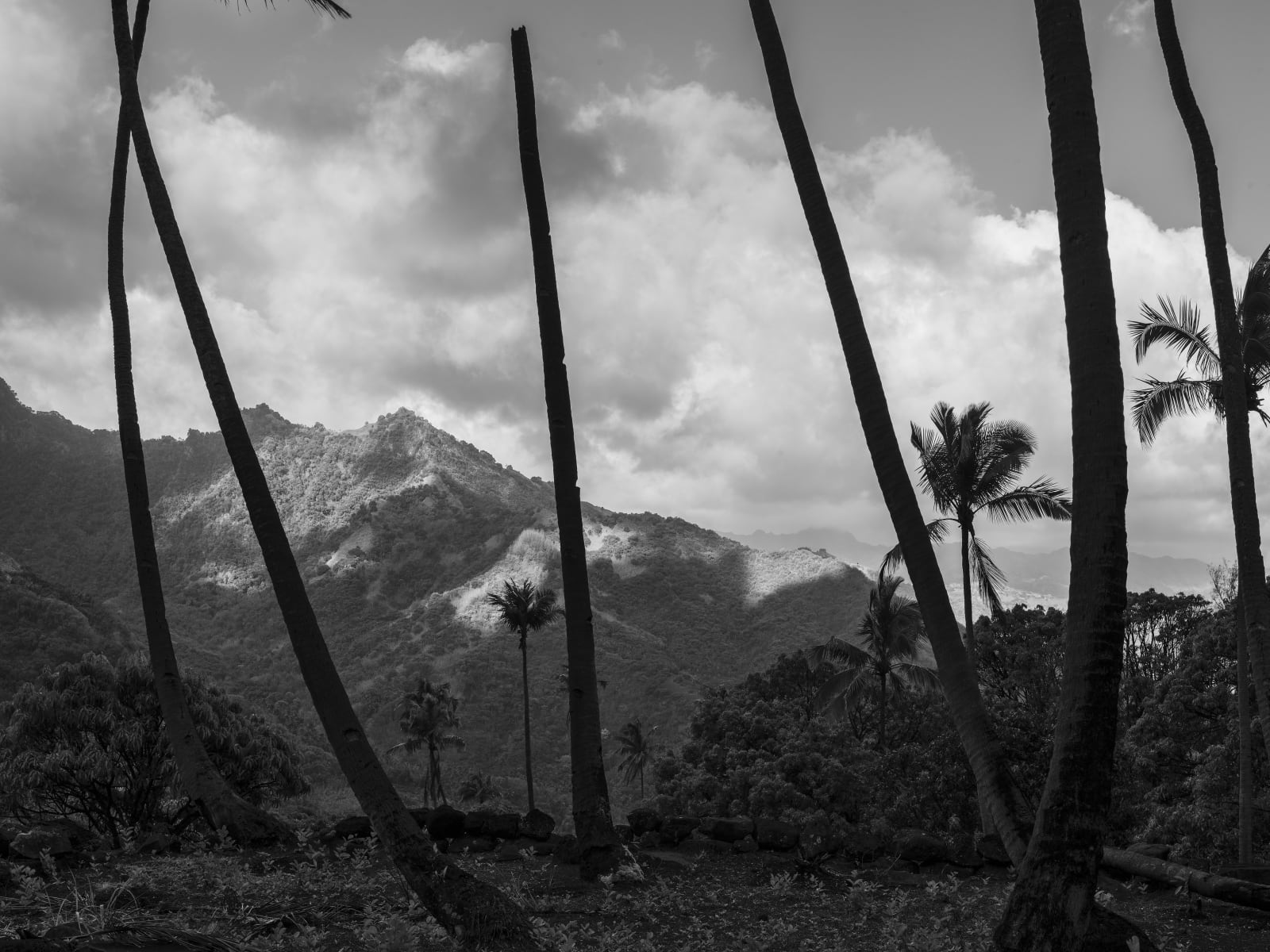 Guy Tillim, Tahiti, French Polynesia, 2010 Hiva Oa, French Polynesia, 2010