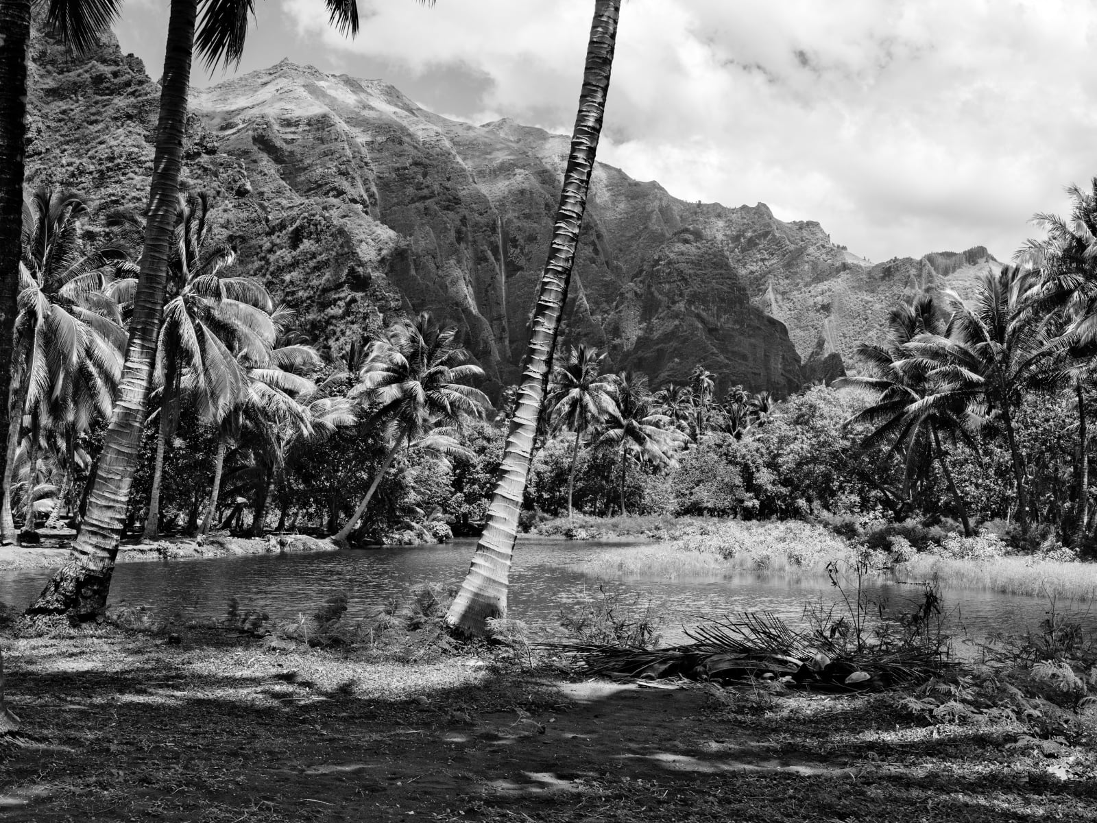 Guy Tillim, Nuku Hiva, French Polynesia, 2010