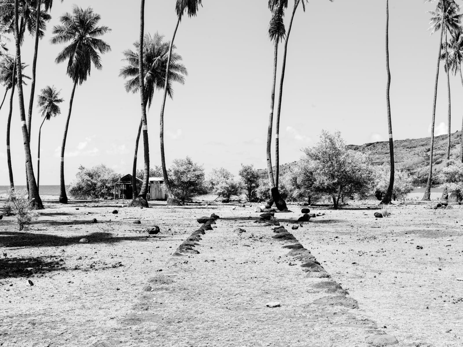 Guy Tillim, Nuku Hiva, French Polynesia, 2010