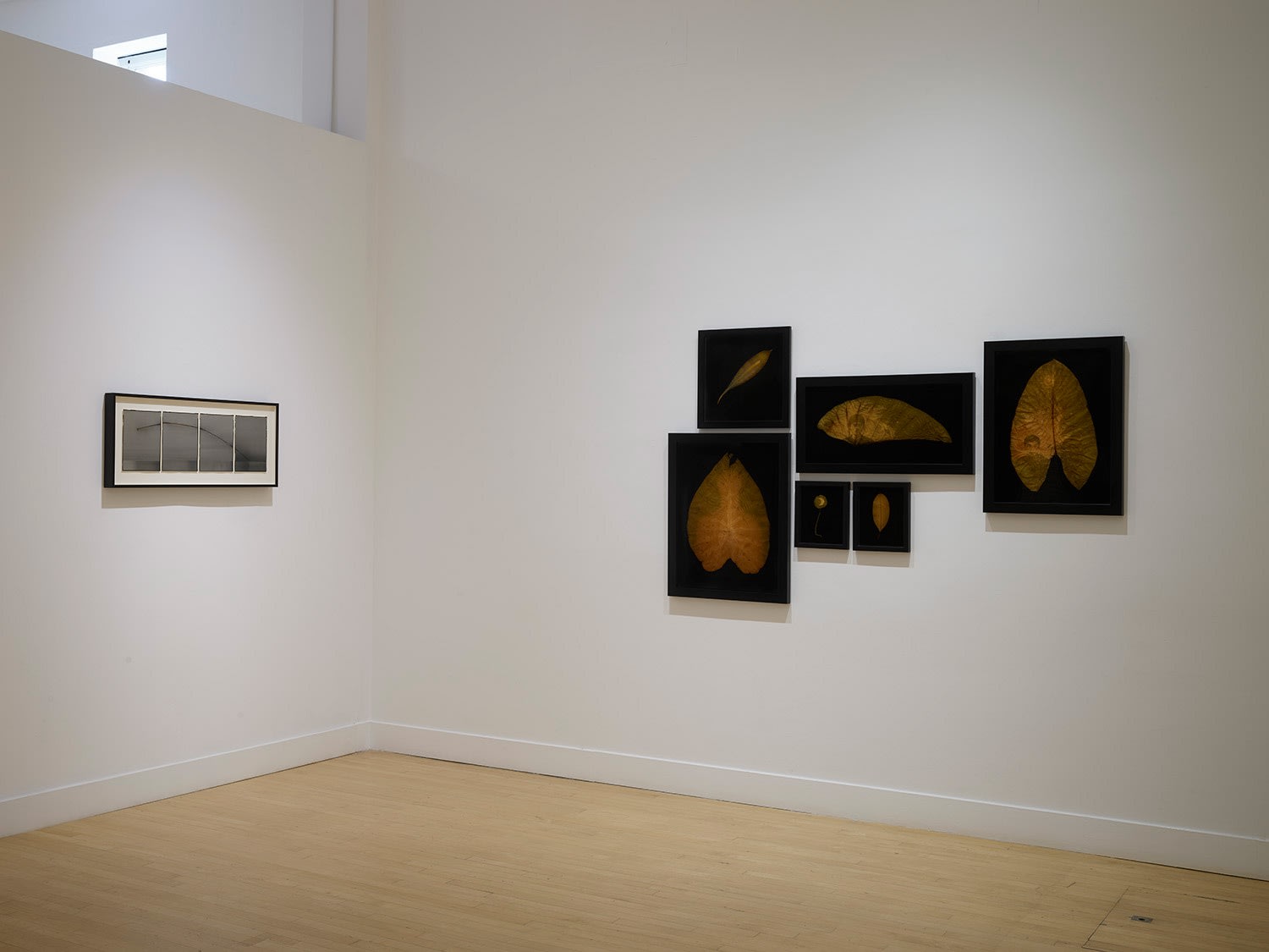 Installation view of Blaze Across the Firmament, September 10 - November 6, 2021 at Haines Gallery, San Francisco Photo: Robert Divers Herrick