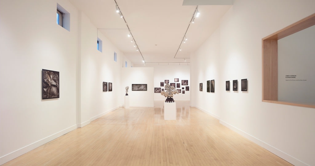 Installation view of Speak to the Stones, and the Stars Answer, March 1 - June 2, 2018 at Haines Gallery, San Francisco Photo: Robert Divers Herrick