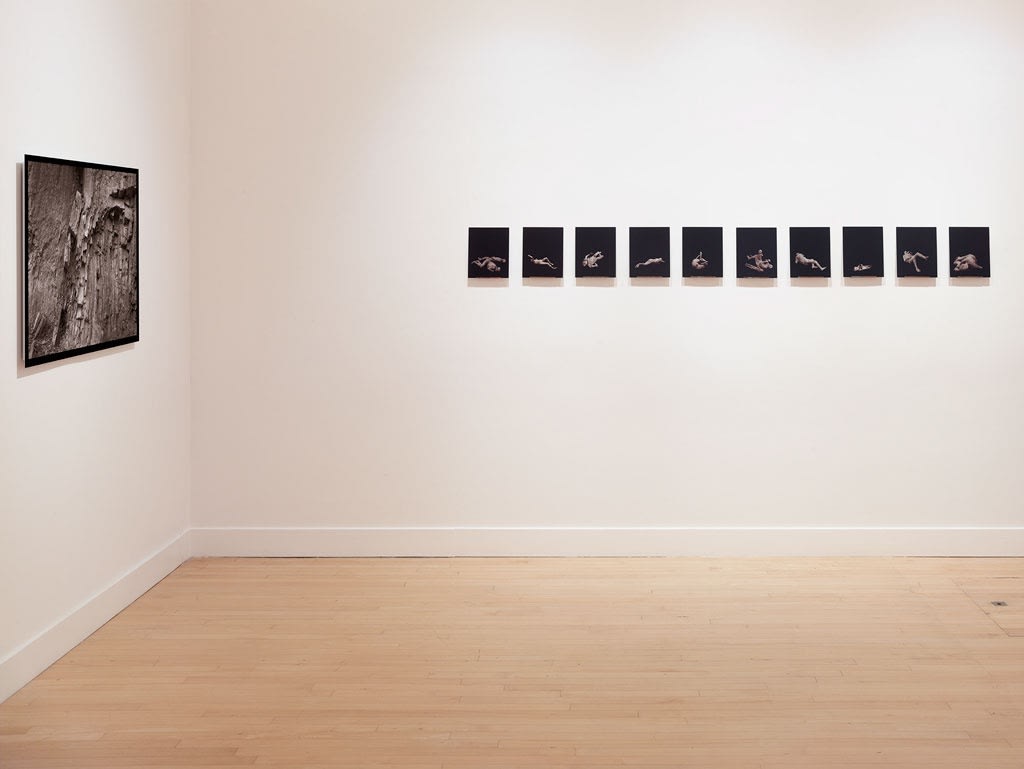 Installation view of Speak to the Stones, and the Stars Answer, March 1 - June 2, 2018 at Haines Gallery, San Francisco Photo: Robert Divers Herrick