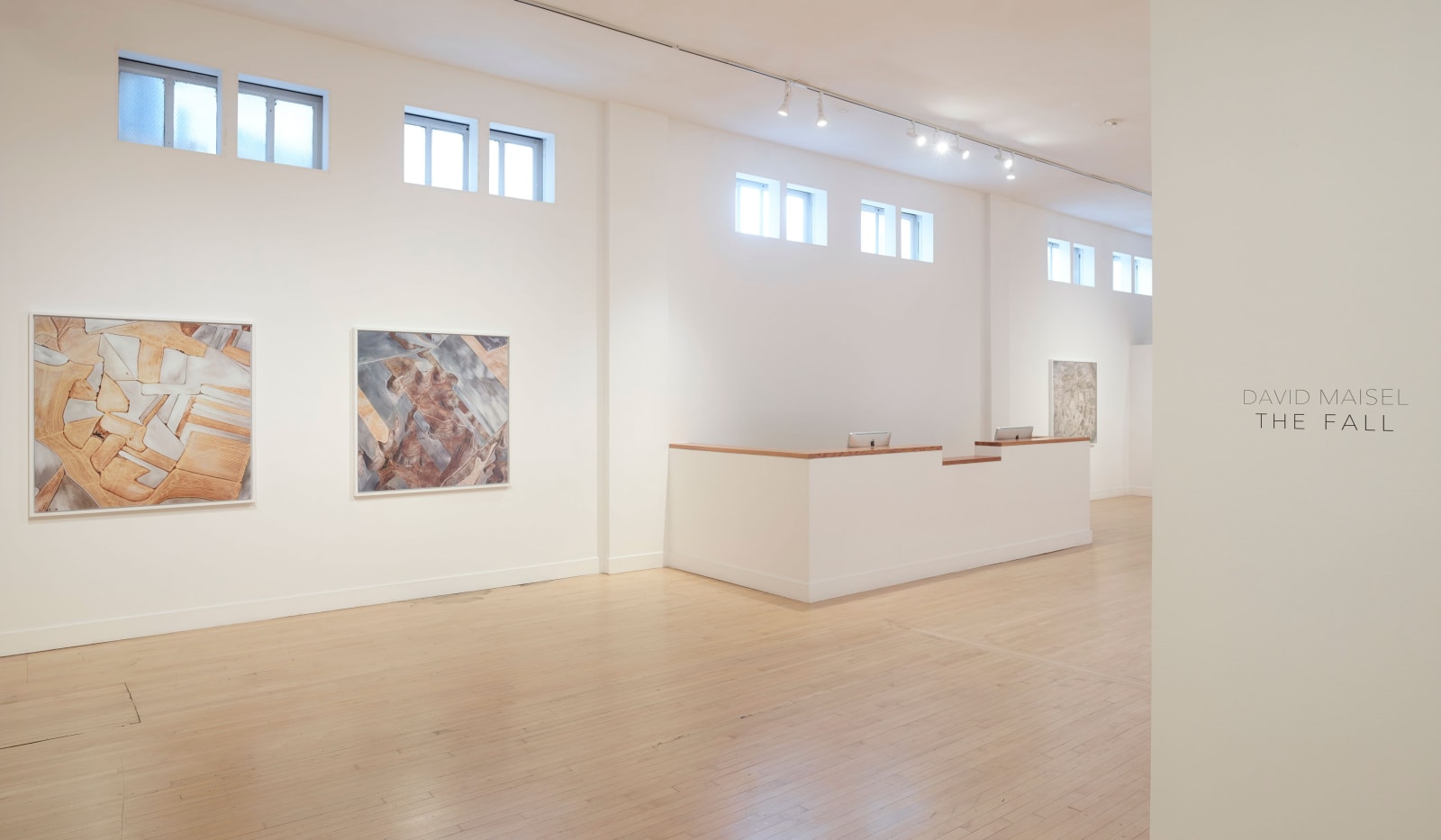 Installation view of David Maisel: The Fall, January 7 - March 12, 2016 at Haines Gallery, San Francisco