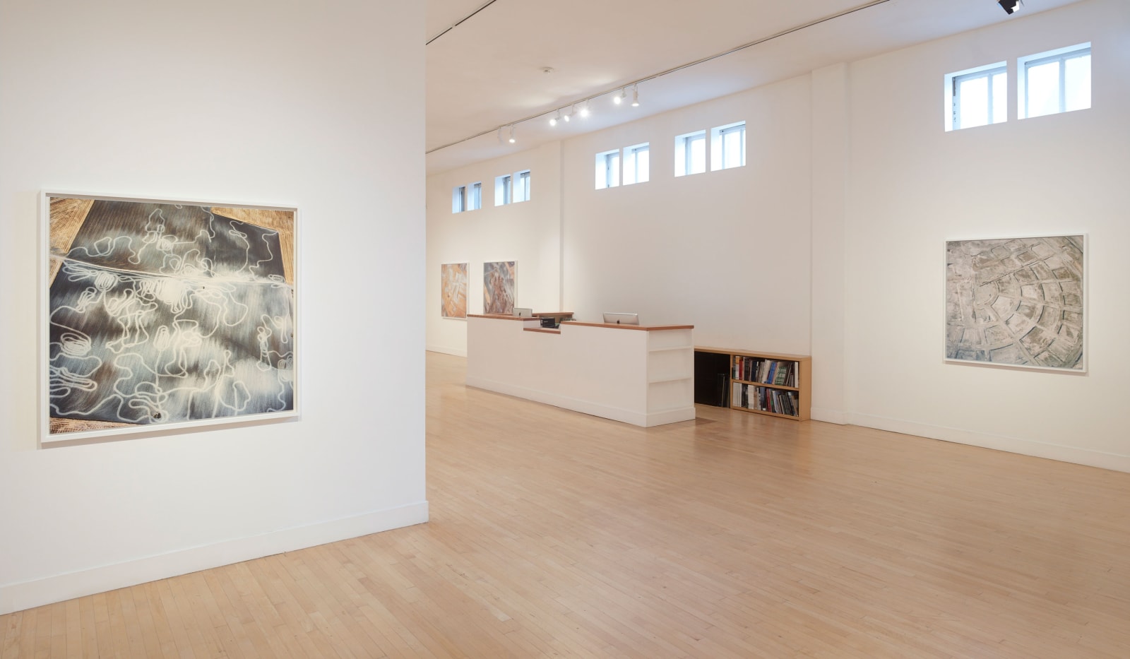 Installation view of David Maisel: The Fall, January 7 - March 12, 2016 at Haines Gallery, San Francisco