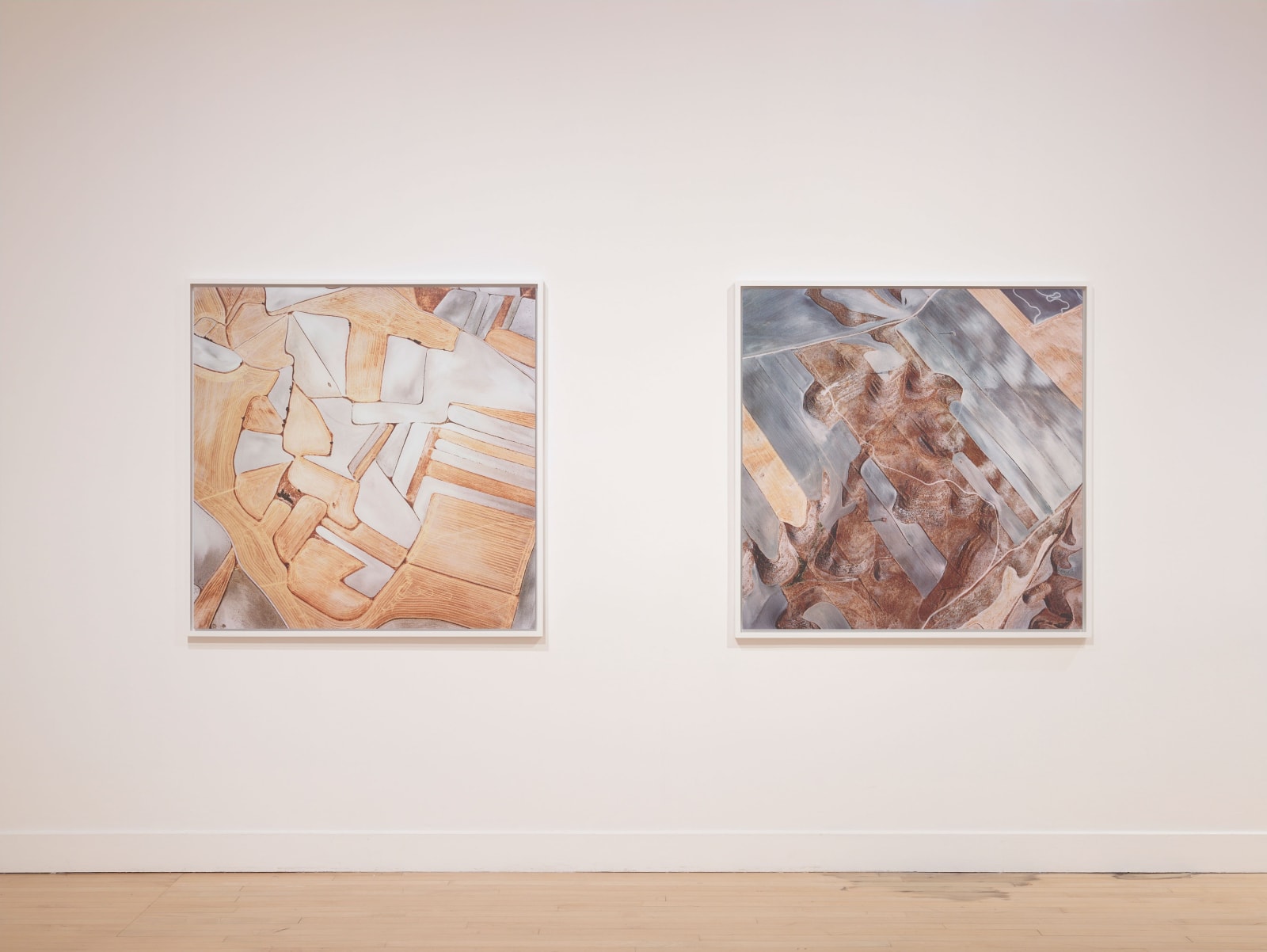 Installation view of David Maisel: The Fall, January 7 - March 12, 2016 at Haines Gallery, San Francisco