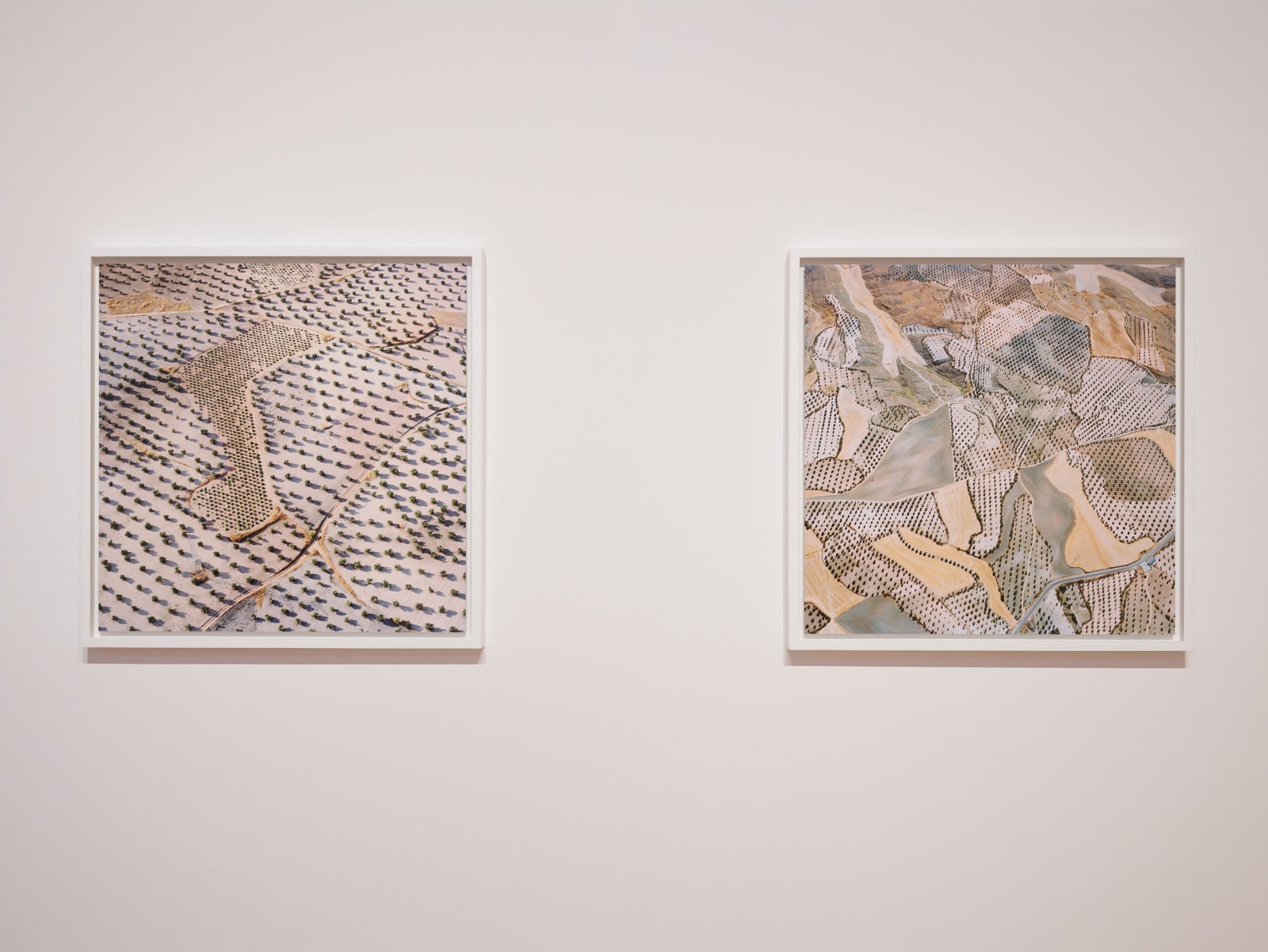 Installation view of David Maisel: The Fall, January 7 - March 12, 2016 at Haines Gallery, San Francisco