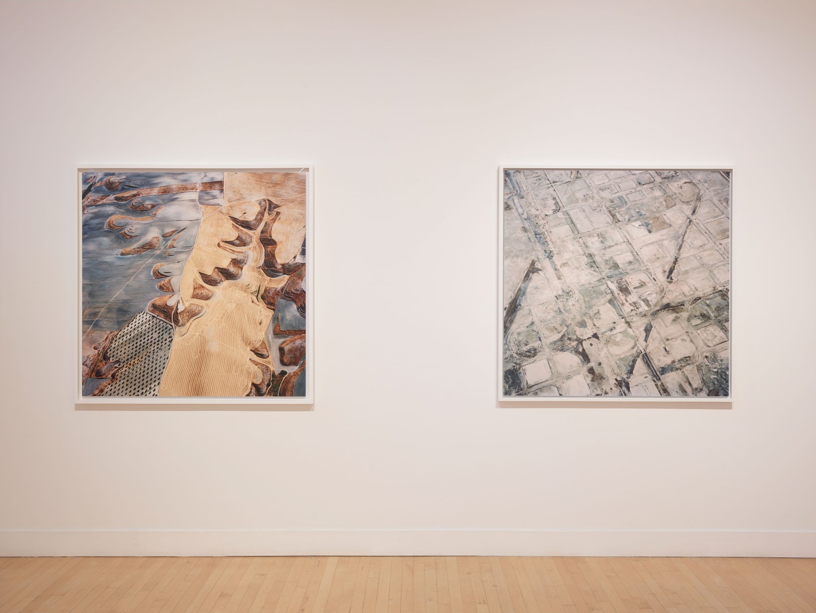 Installation view of David Maisel: The Fall, January 7 - March 12, 2016 at Haines Gallery, San Francisco