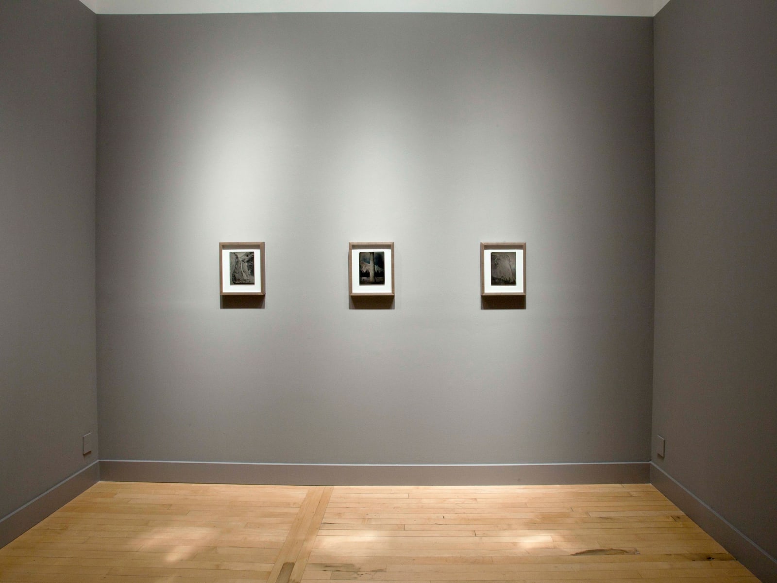 Installation view of Binh Danh: Yosemite, September 6 - October 27, 2012 at Haines Gallery, San Francisco