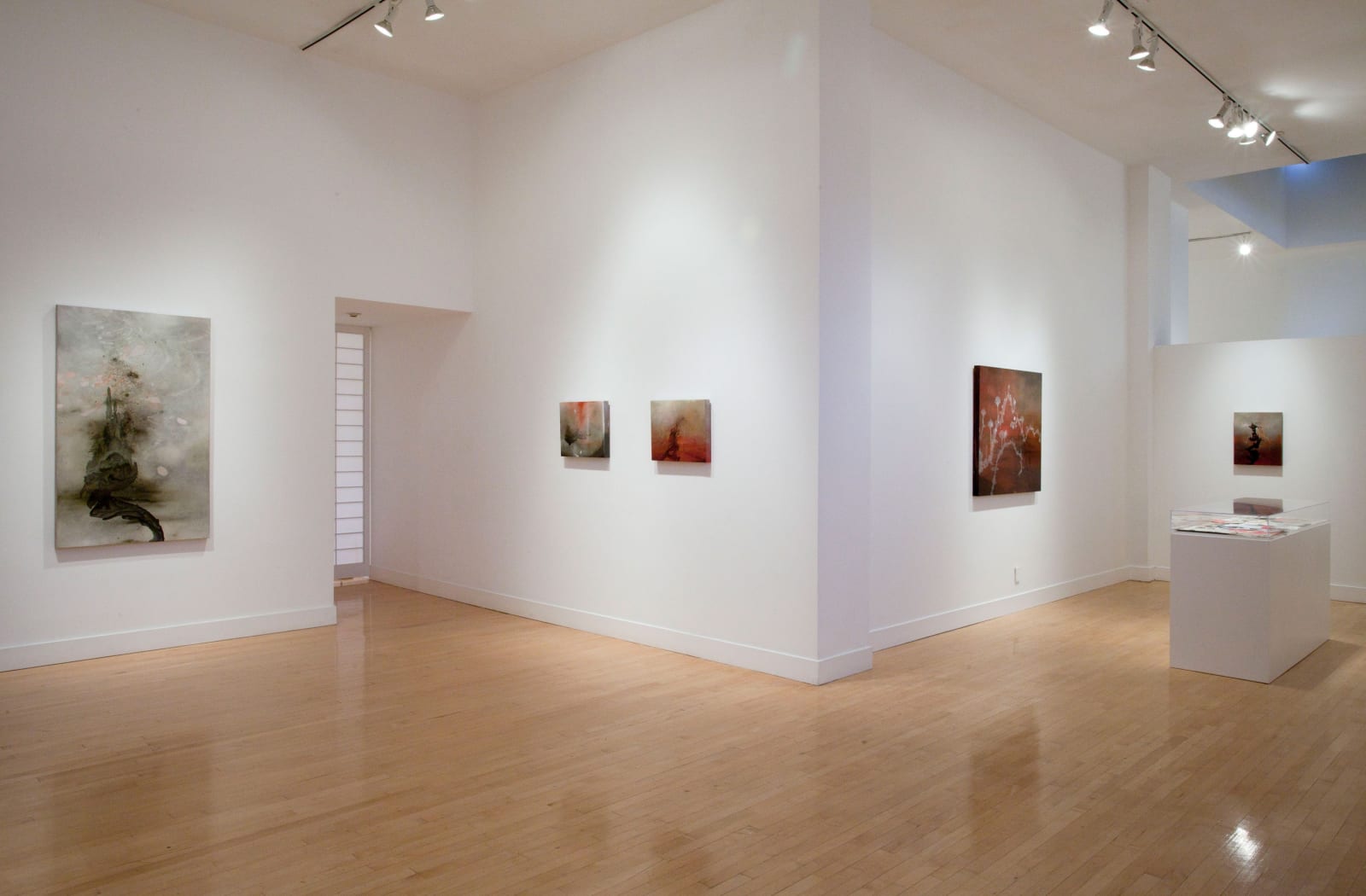 Installation view of Darren Waterston: Ravens and Ruins, March 28 - May 18, 2013 at Haines Gallery, San Francisco
