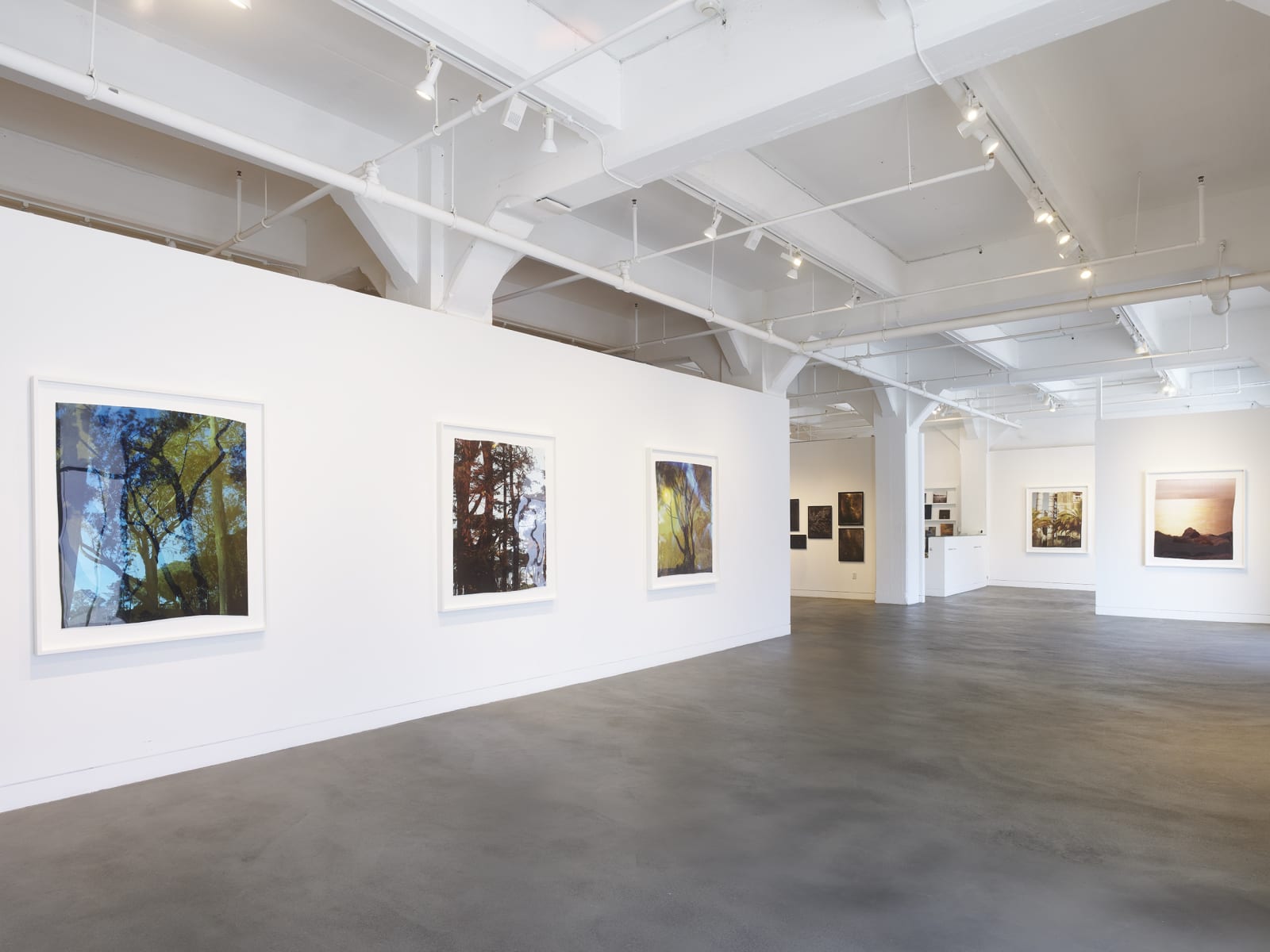 Installation view of John Chiara: Sea of Glass, March 15 - April 27, 2024 at Haines Gallery, San Francisco Photo: Robert Divers Herrick
