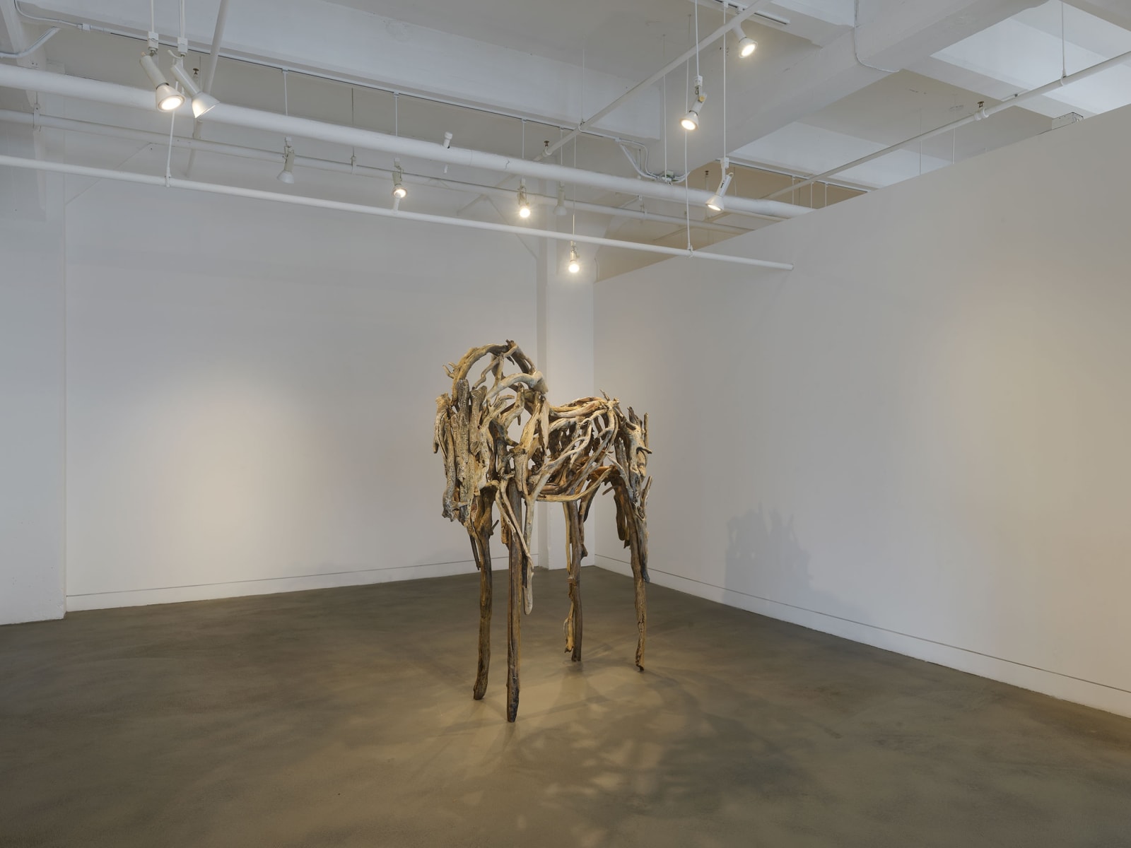 Installation view of Deborah Butterfield: New Sculpture, September 6 - November 9, 2024 at Haines Gallery, San Francisco Photo: Robert Divers Herrick