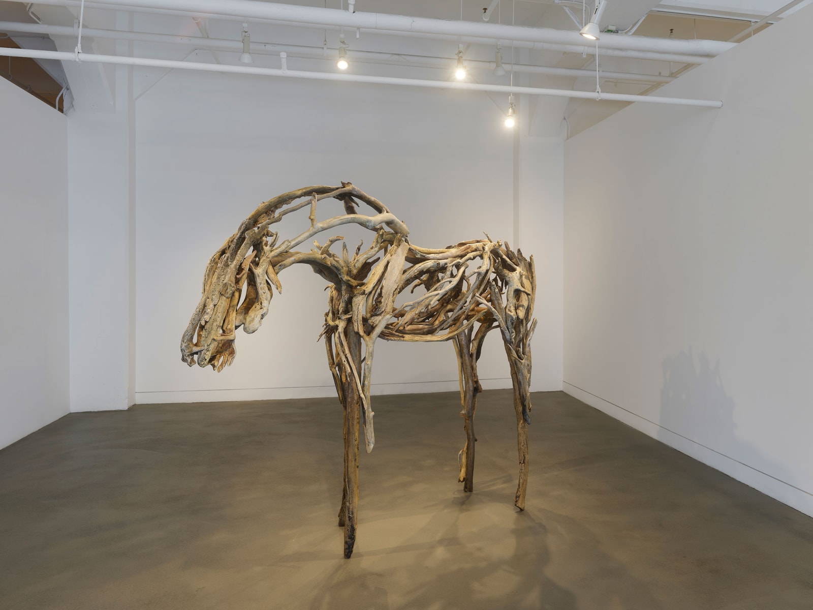 Installation view of Deborah Butterfield: New Sculpture, September 6 - November 9, 2024 at Haines Gallery, San Francisco Photo: Robert Divers Herrick