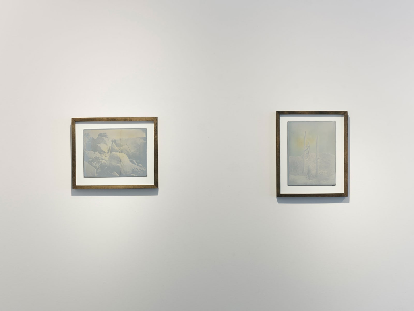 Installation view of Elemental II: Photography and the Hand of Nature, July 11 - September 5, 2025 at Haines Gallery, San Francisco, CA Photo: Robert Divers Herrick