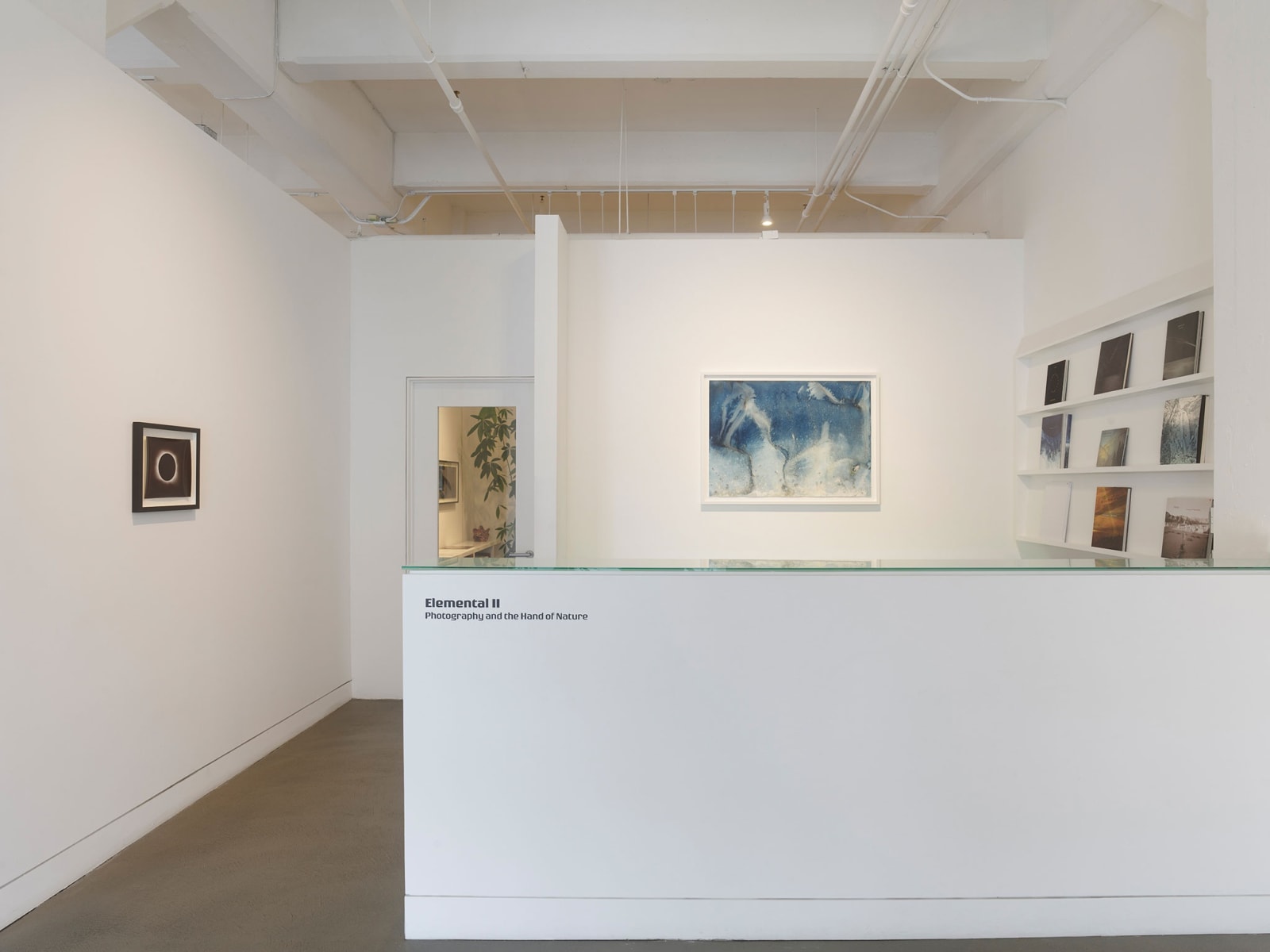 Installation view of Elemental II: Photography and the Hand of Nature, July 11 - September 5, 2025 at Haines Gallery, San Francisco, CA Photo: Robert Divers Herrick