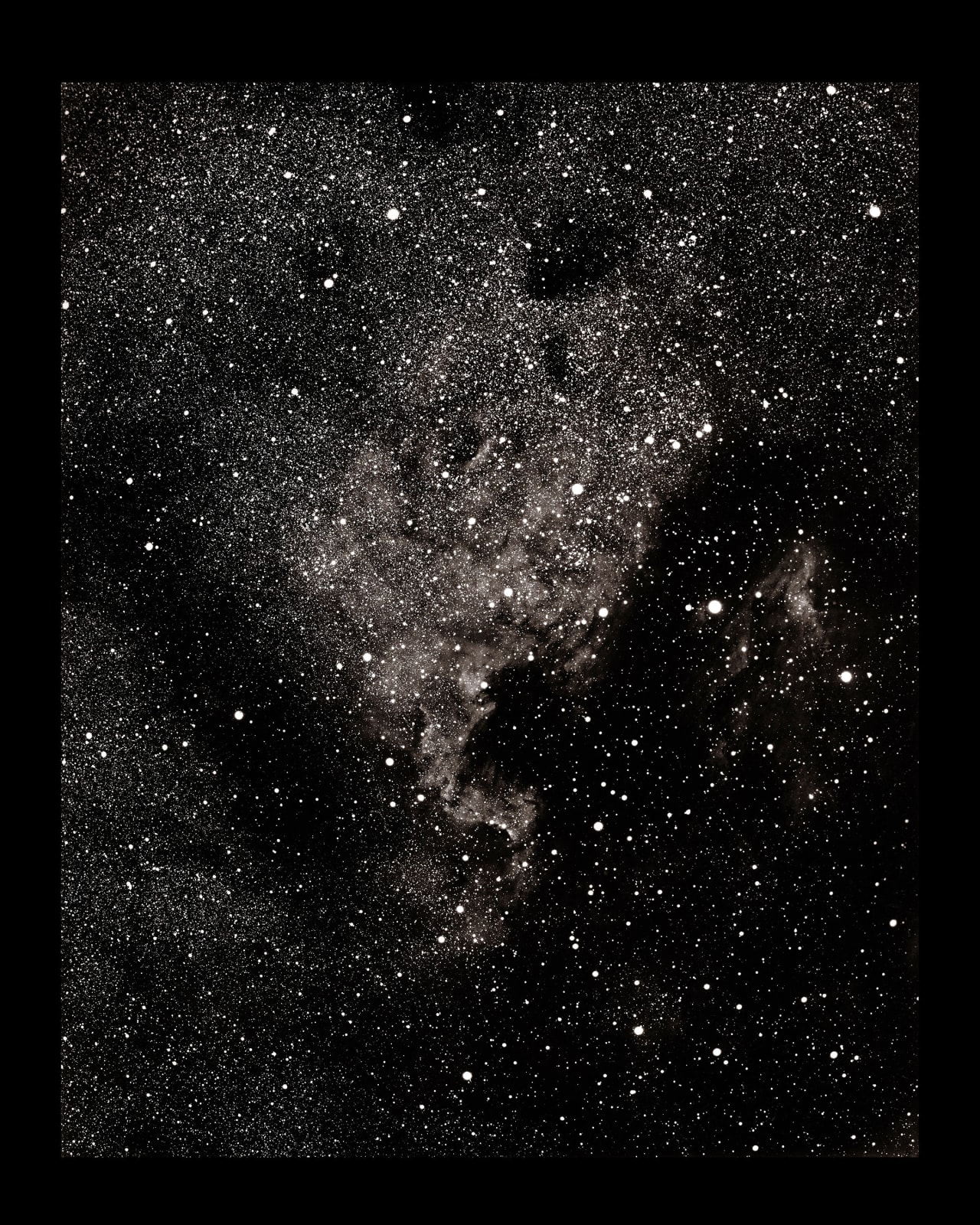 Linda Connor, August 19, 1950