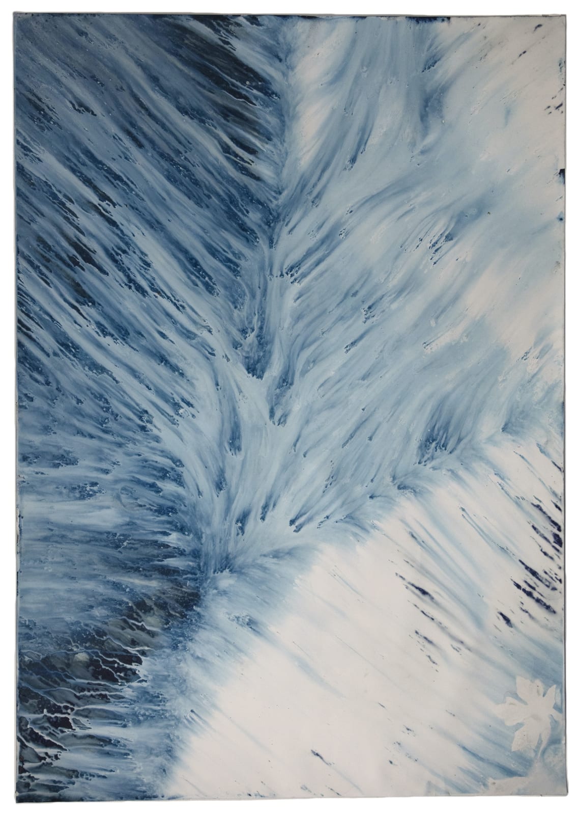 Meghann Riepenhoff, Ecotone #937 (Bainbridge Island, WA 11.3.20, Dawn to Dusk, Draped On Lilac, Intermittent Storms, Tears), 2020