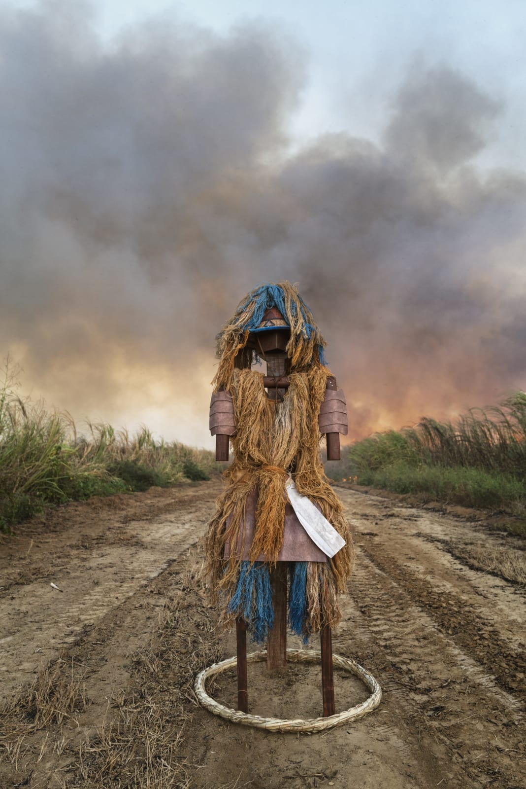 Adrian Burrell, Can to Can't, 2022