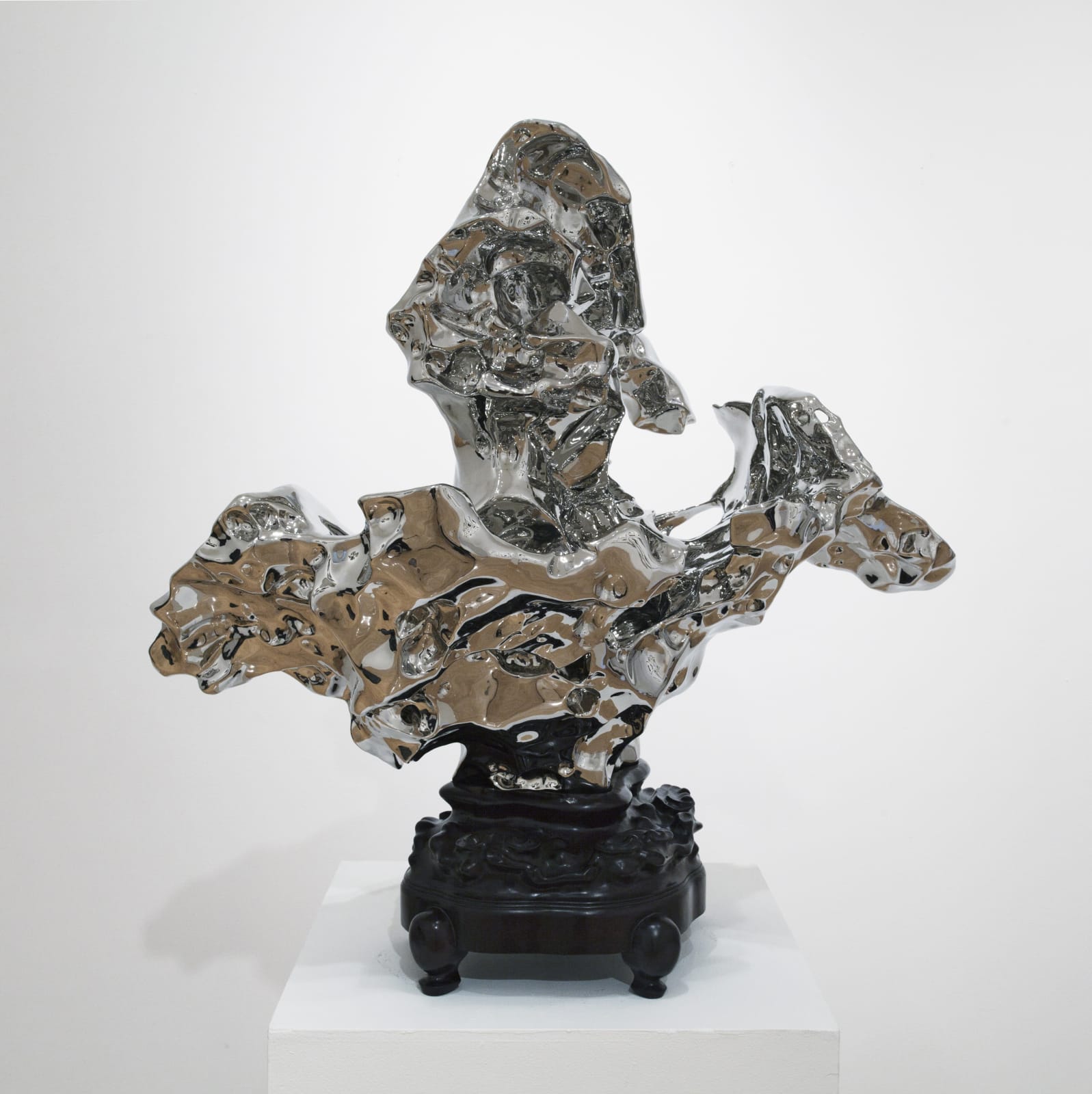 Zhan Wang, Artificial Rock #148, 2007