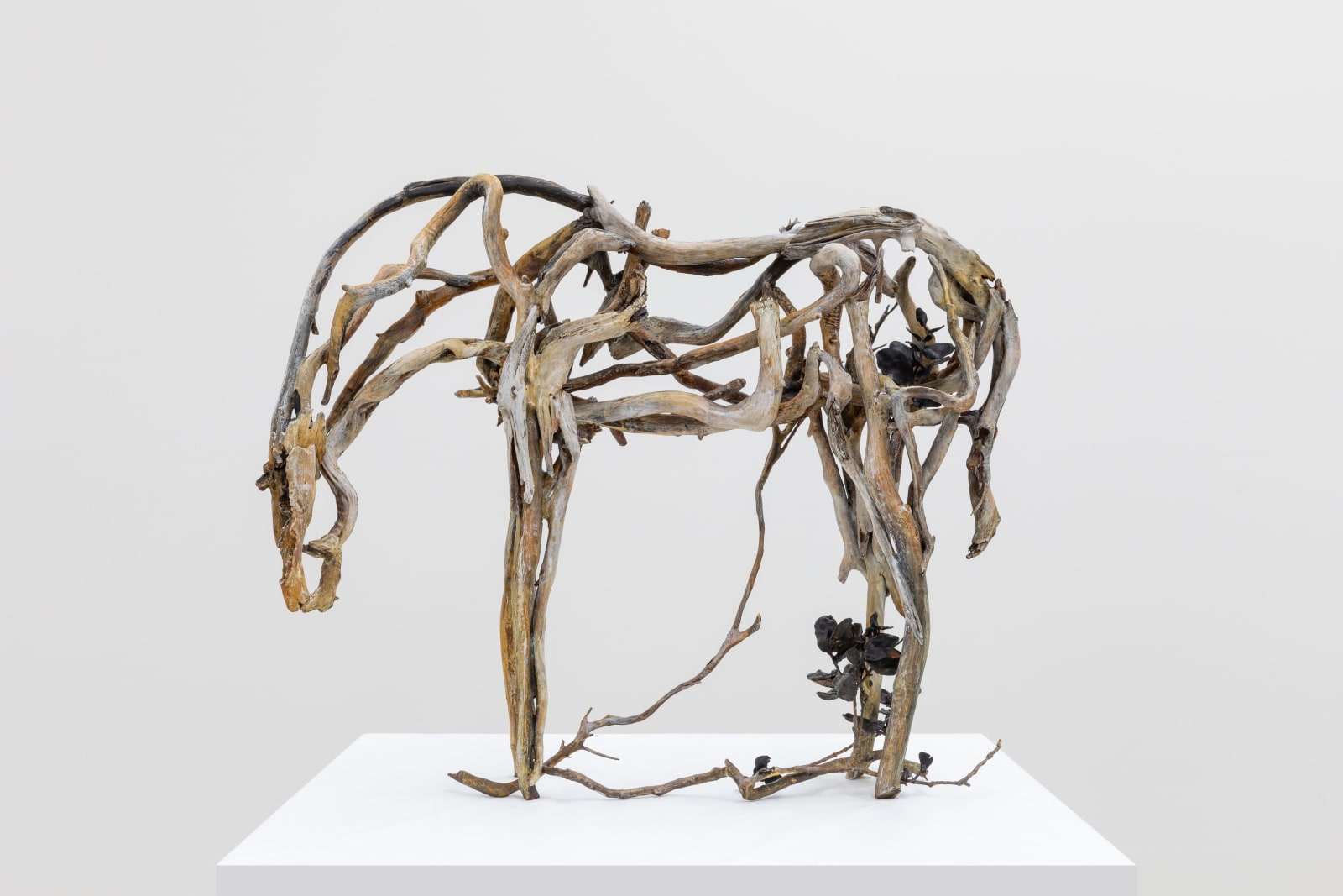 Deborah Butterfield, Mohala, 2023-2024