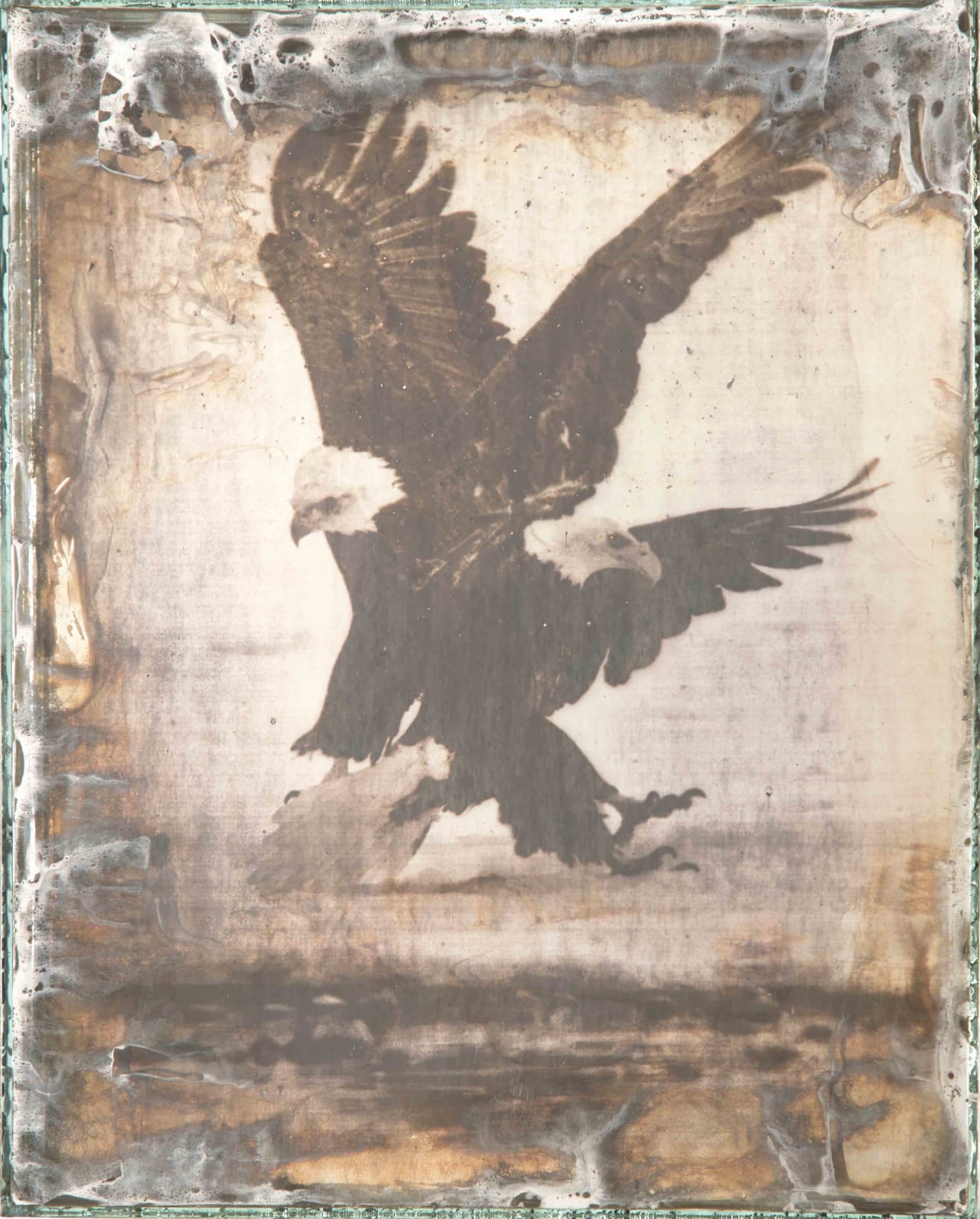 Matthew Brandt, Eagles 14C, 2017-2019