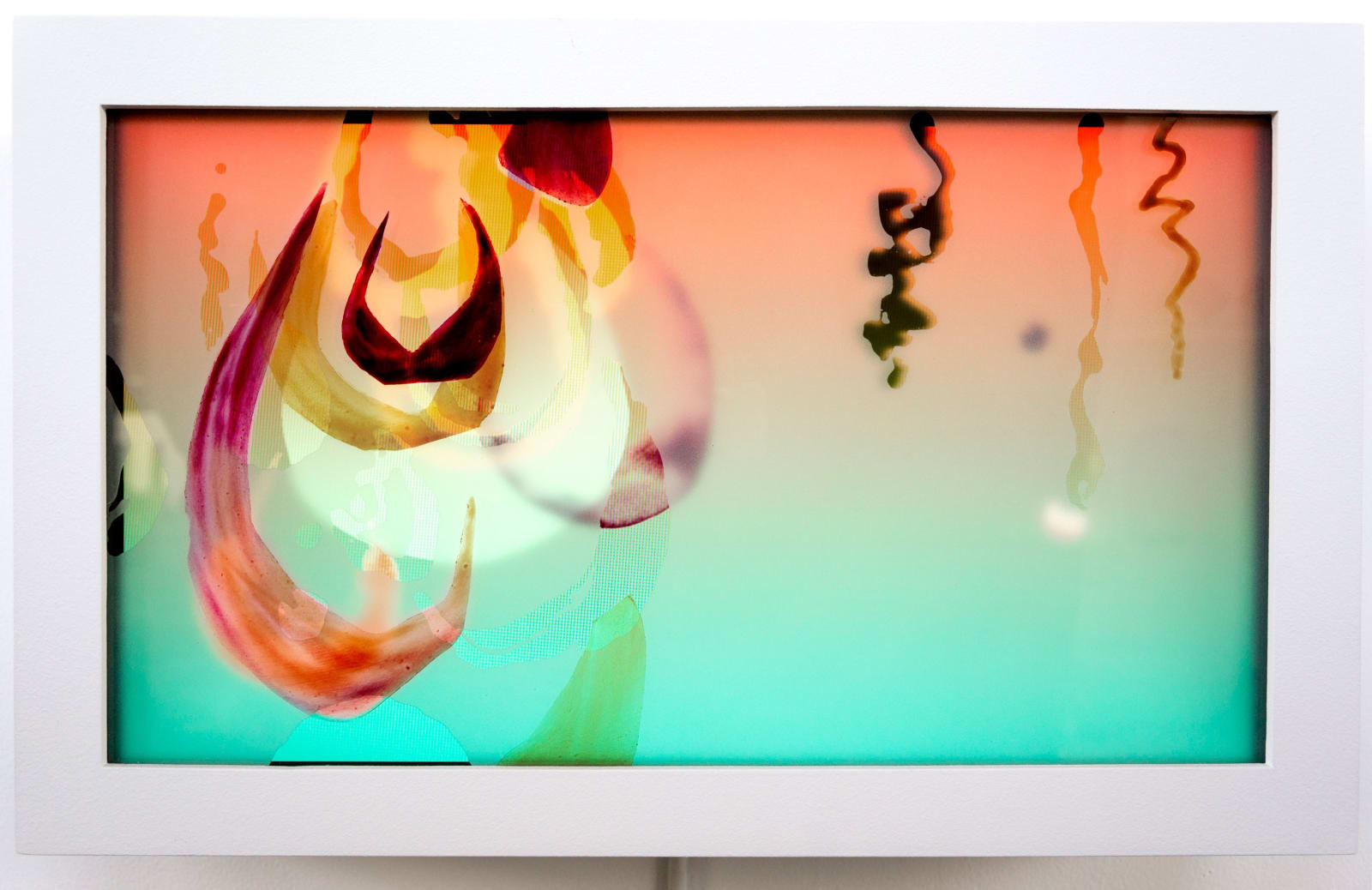 Camille Utterback, Nodules, 2013