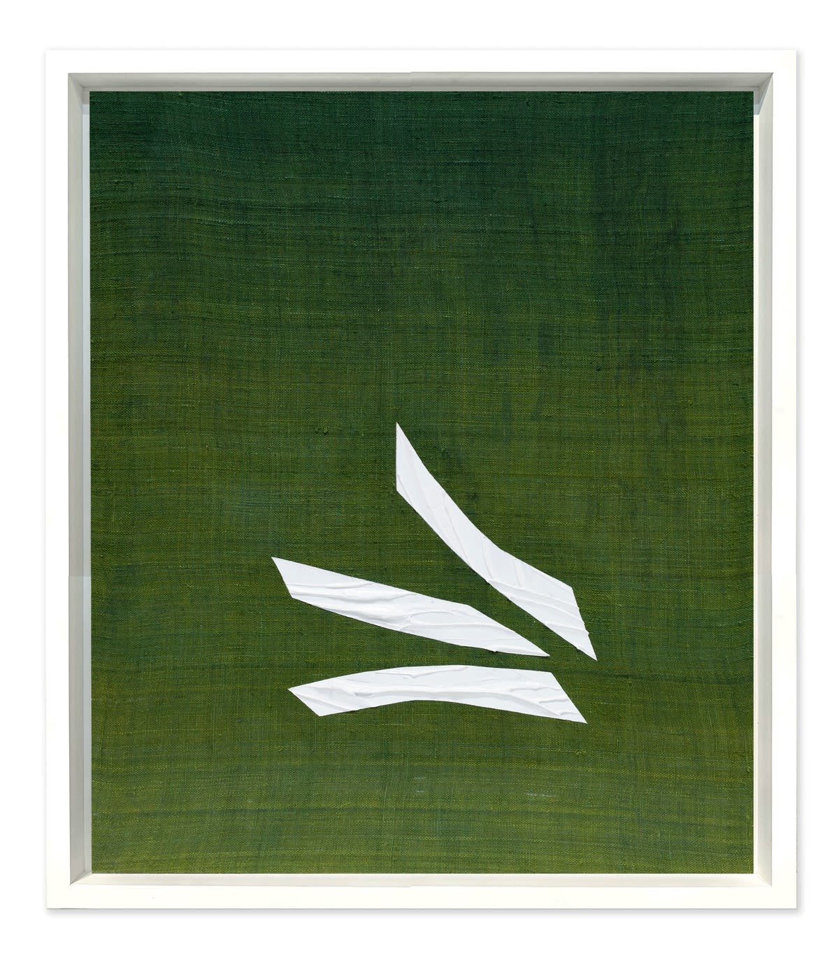 Ricardo Mazal, Gaa 5 (Green), 2025