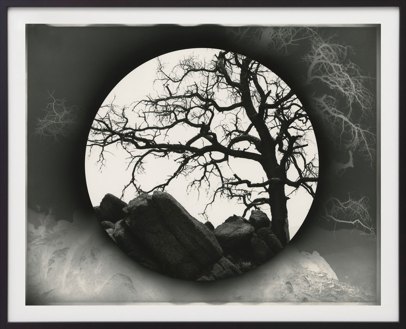 Chris McCaw, Inverse #117 (Burnt, Anza Borrego), 2025