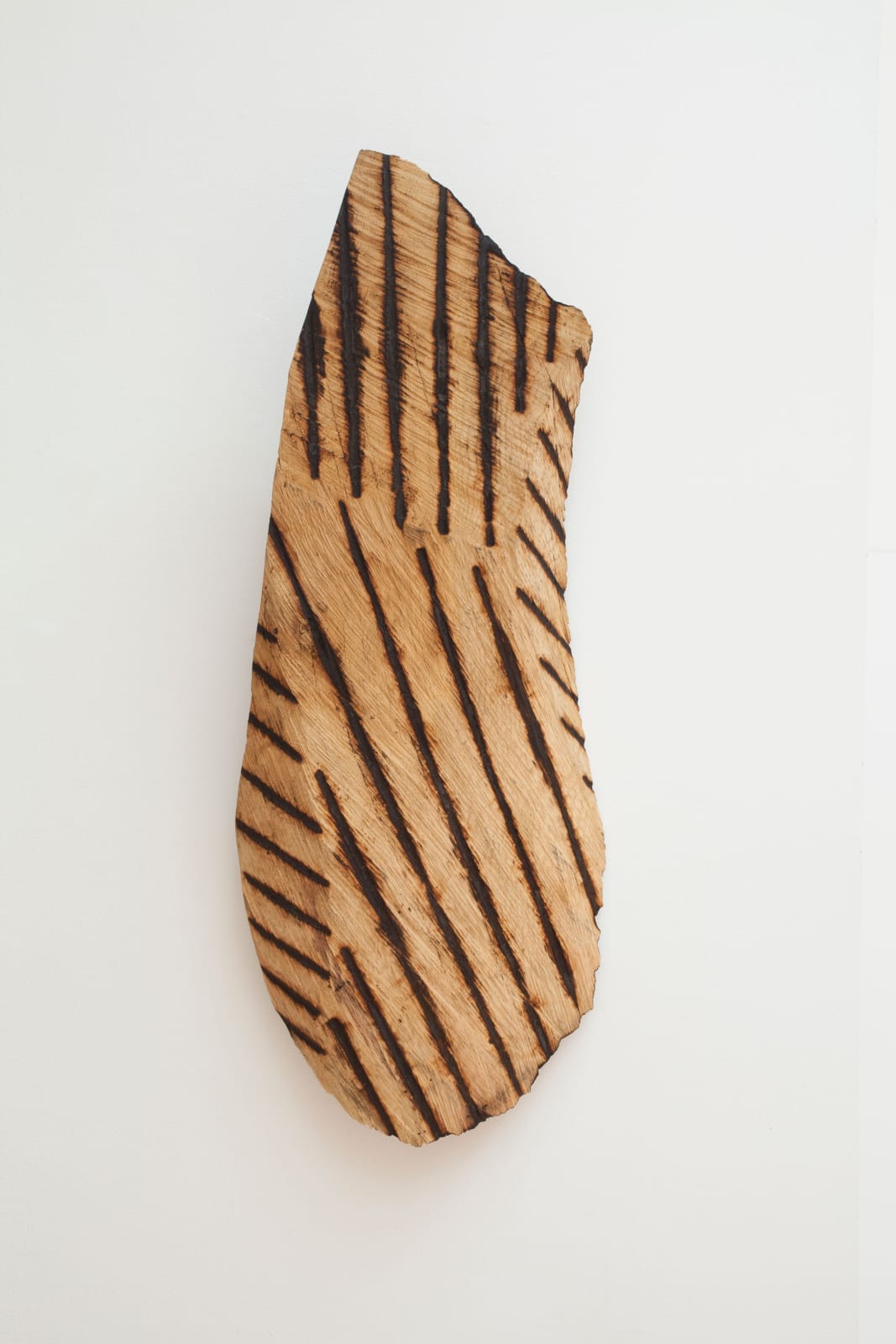 David Nash, Branding Lines, 2012