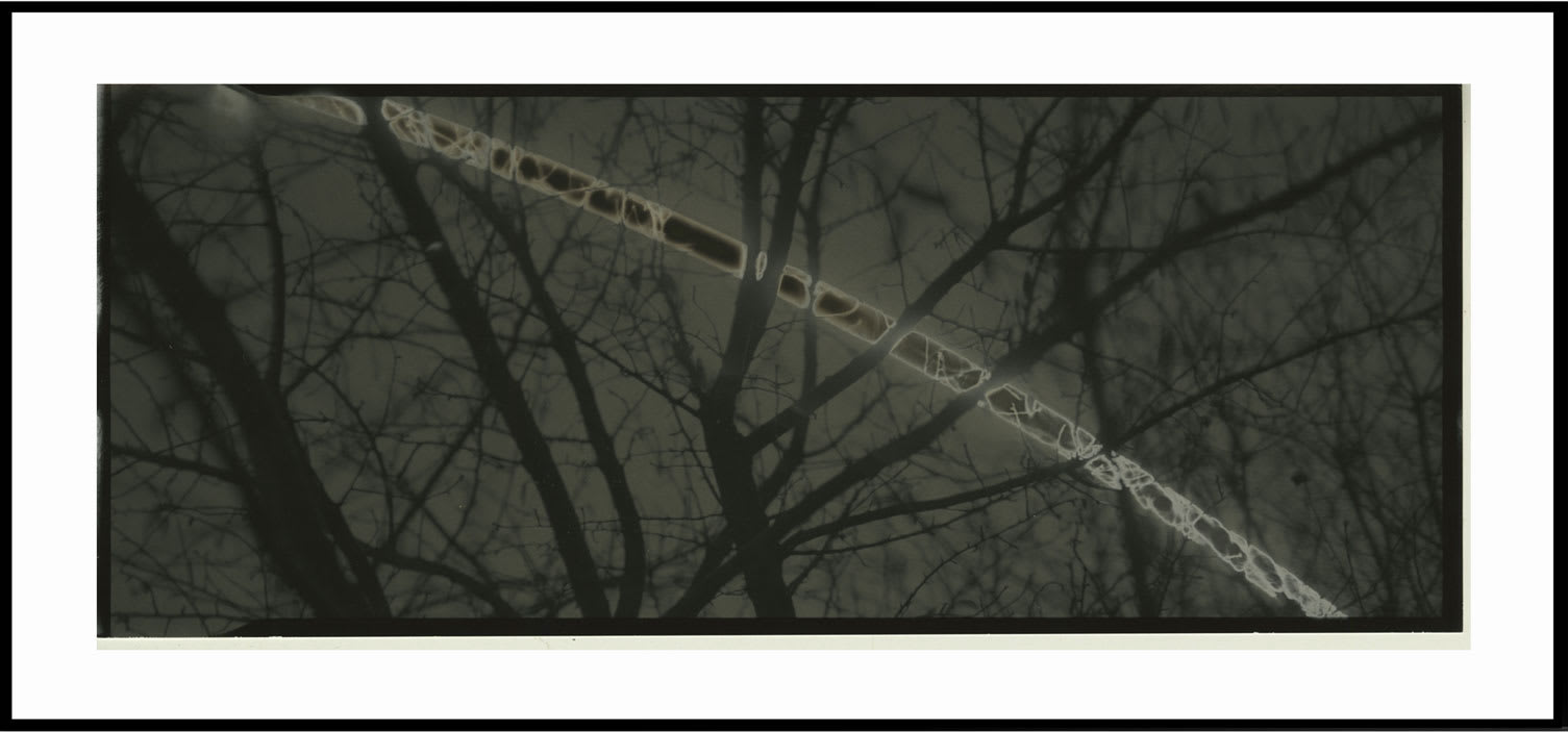 Chris McCaw, Sunburned GSP #515, 2012