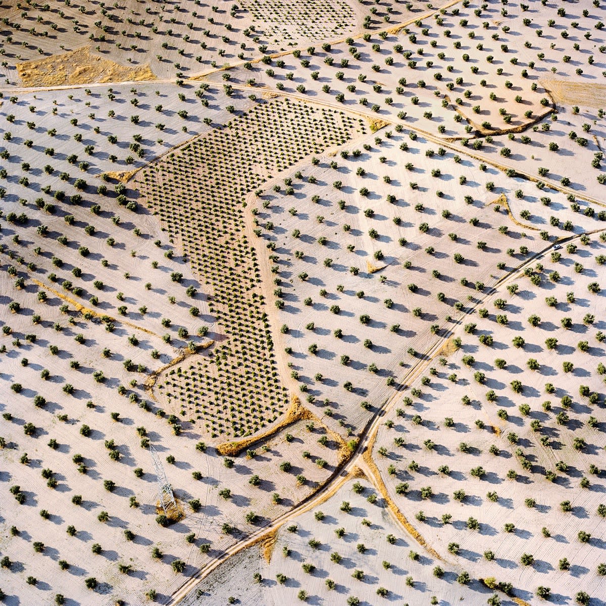 David Maisel, The Fall (Borox 11), 2013