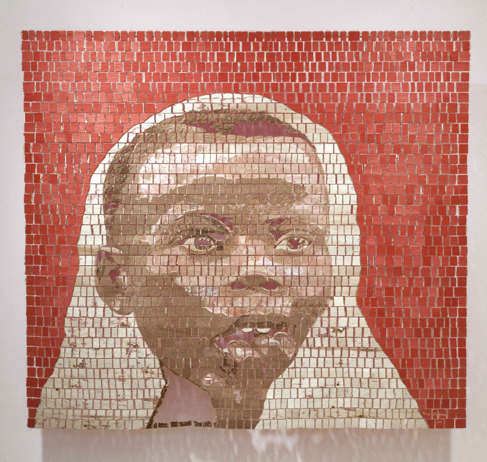 Aimé Mpane, L'envie, 2013