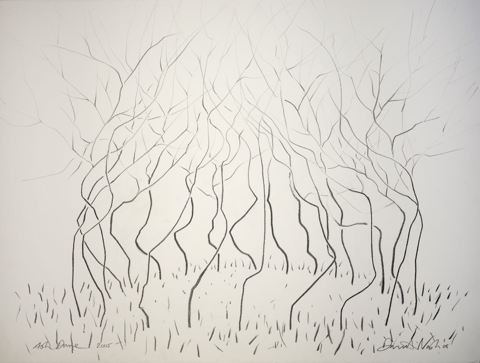David Nash, Ash Dome, 2005