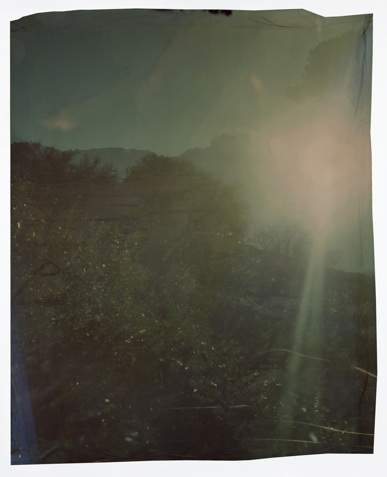 John Chiara, Coral: Marview: Burnett (Right), 2012