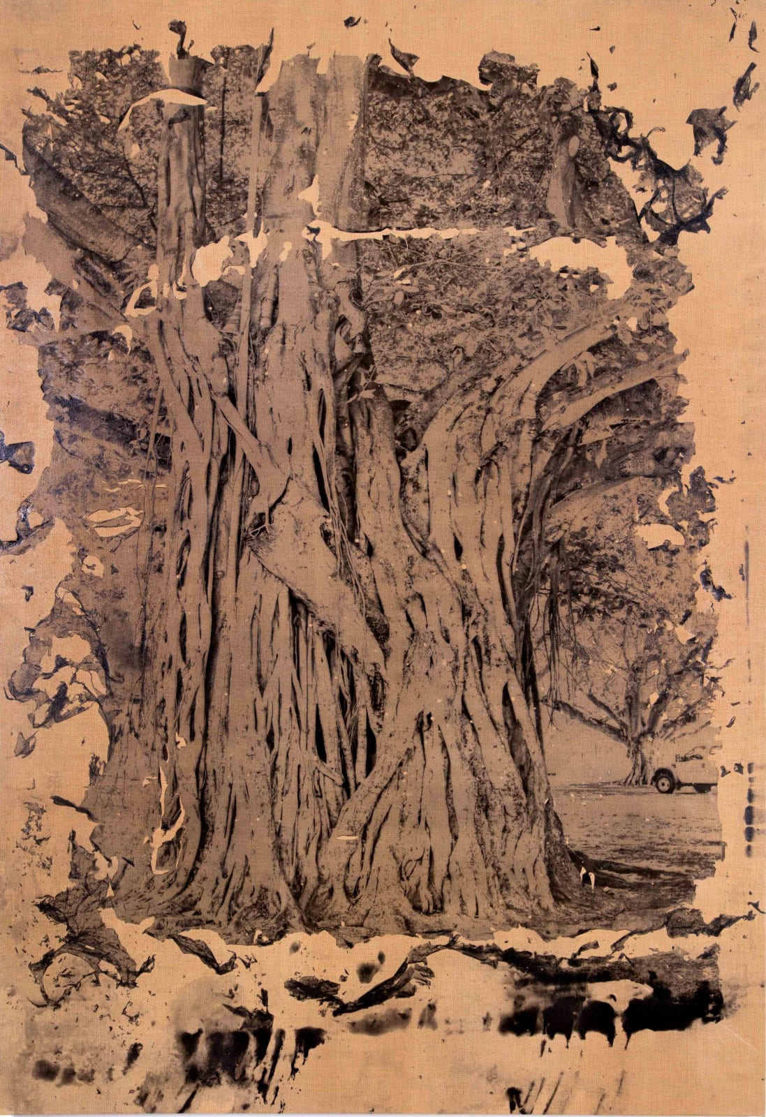 Matthew Brandt, Florida Strangler 2KI, 2022-2023