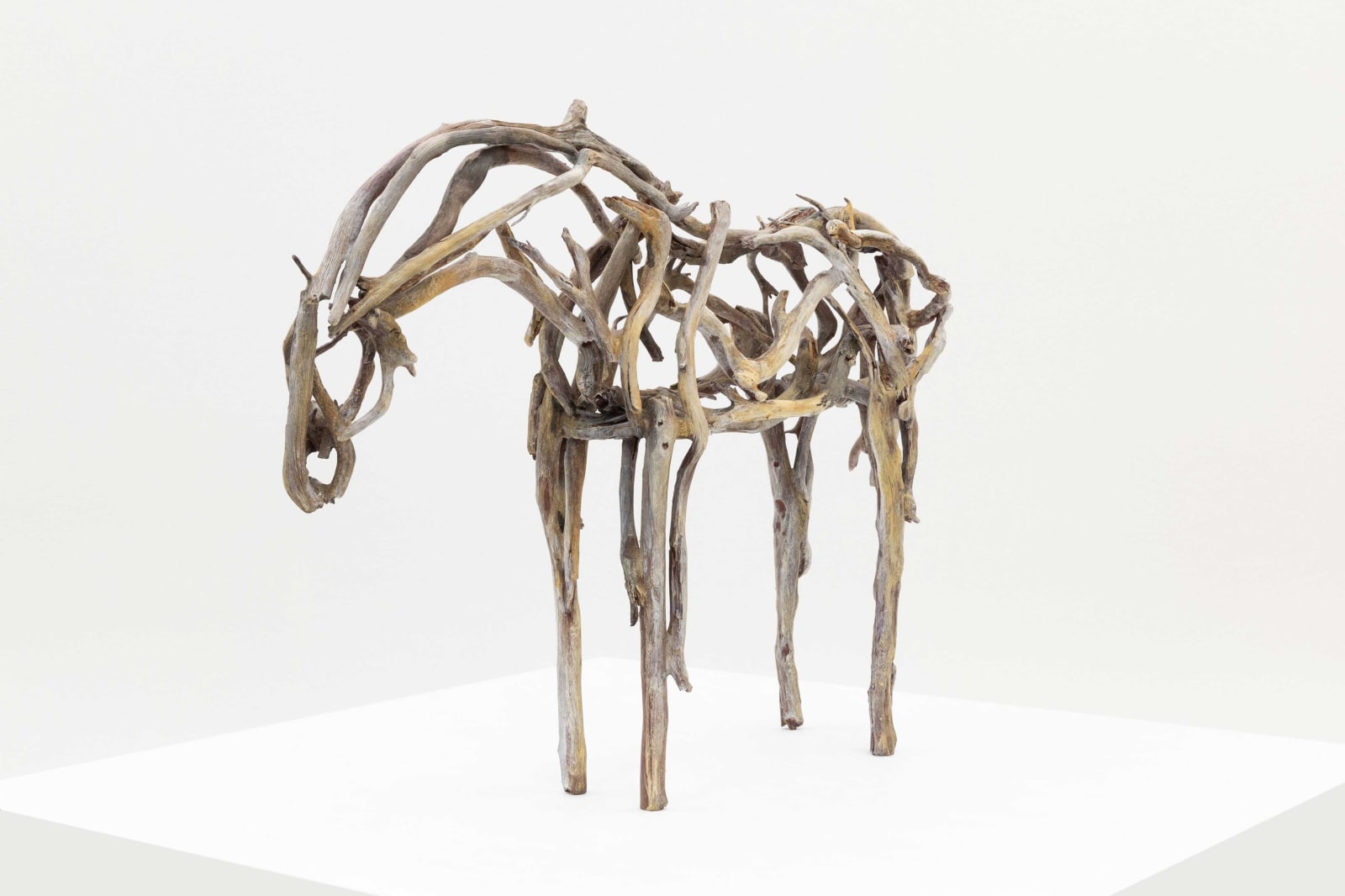 Deborah Butterfield, Ano, 2024